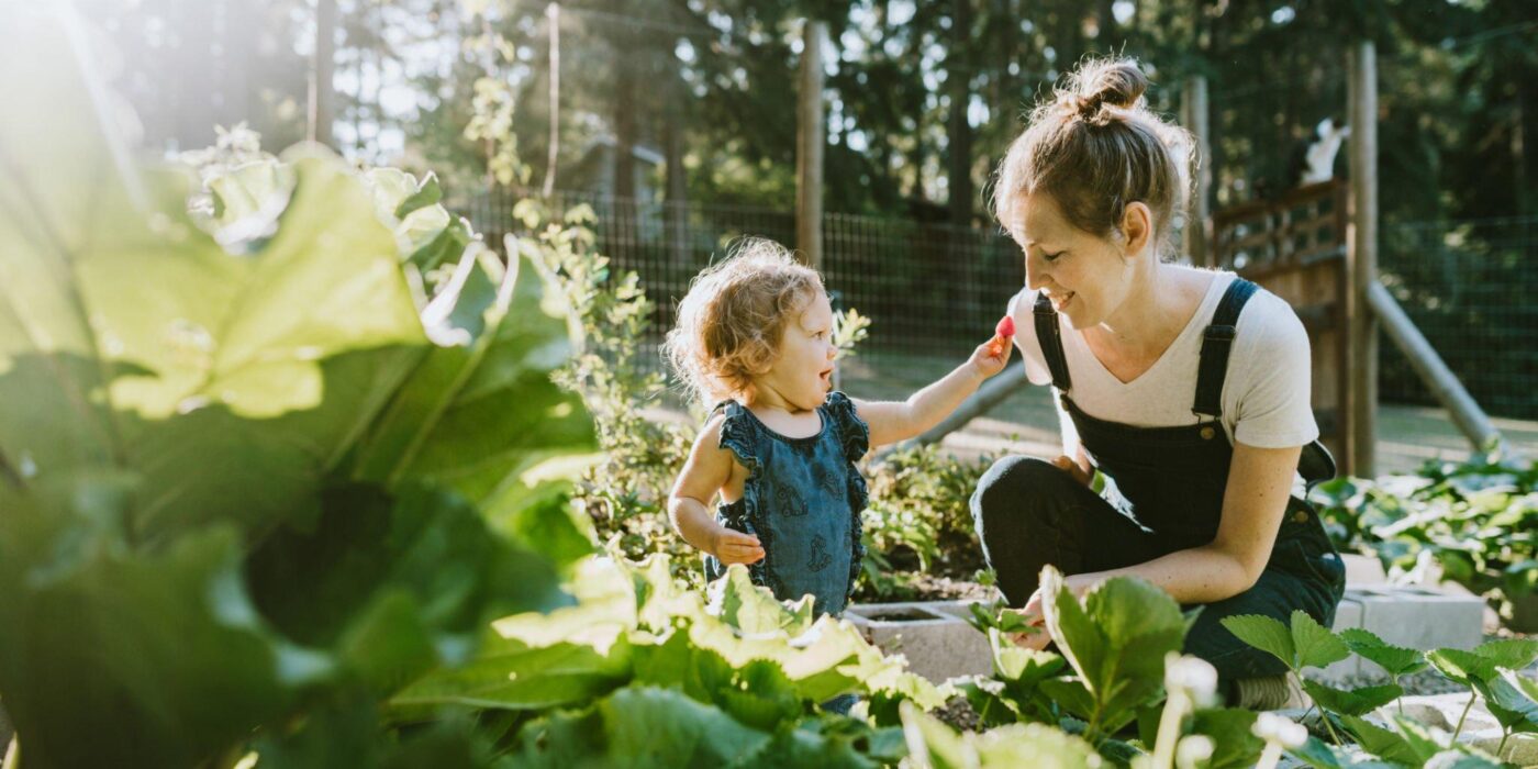 How To Get An MMJ Card For Your Child?