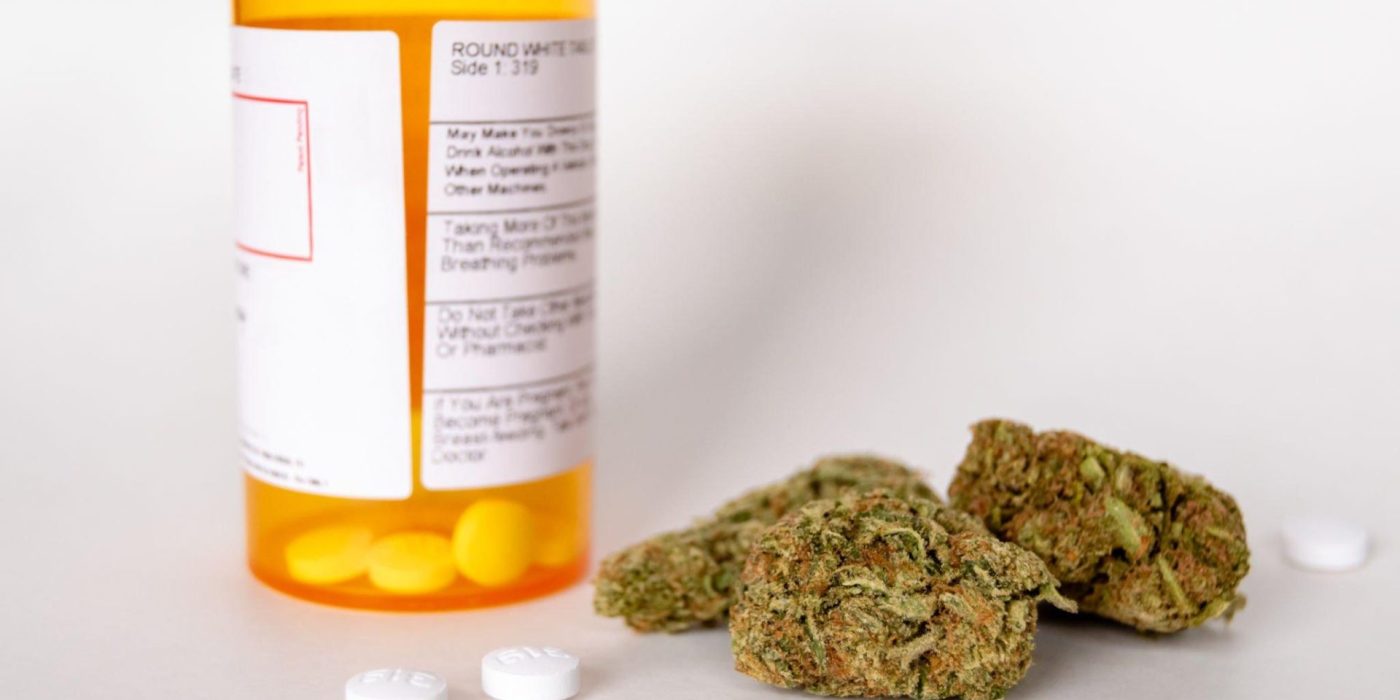 Cannabis vs. Opioids
