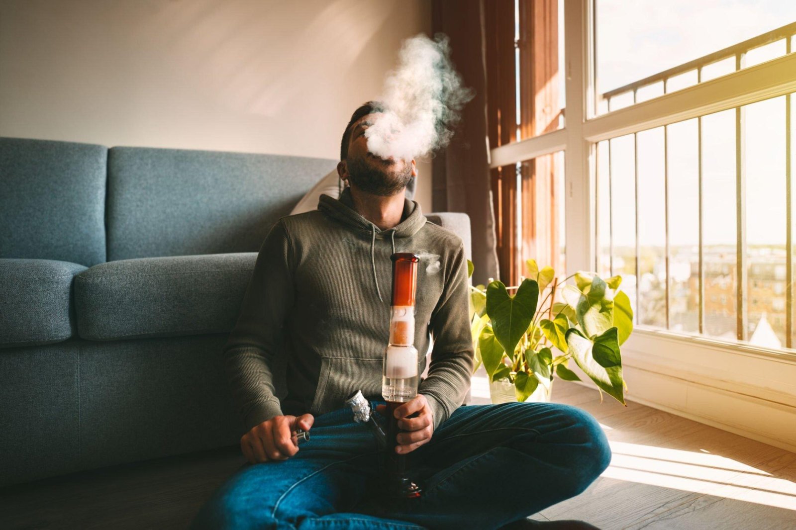 How To Get Rid of Cannabis Smell Quickly?