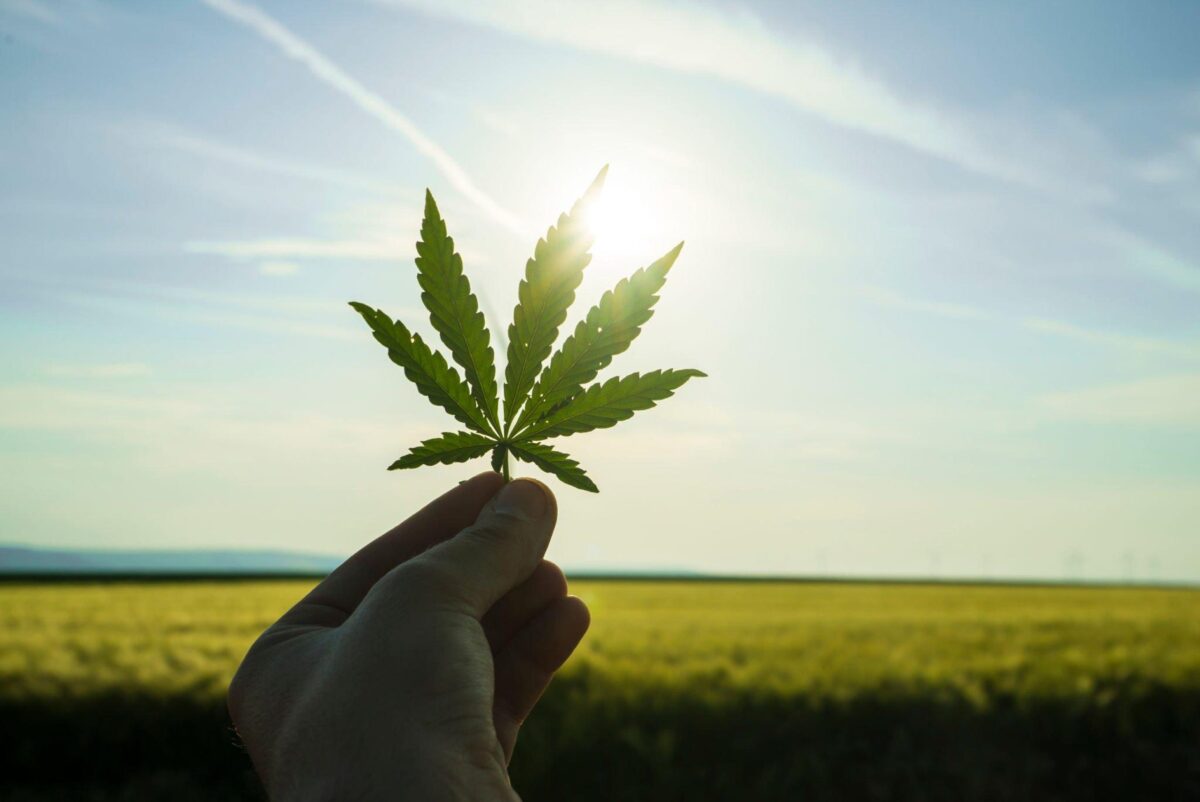 What Is The Easiest Way To Get A Medical Marijuana Card?