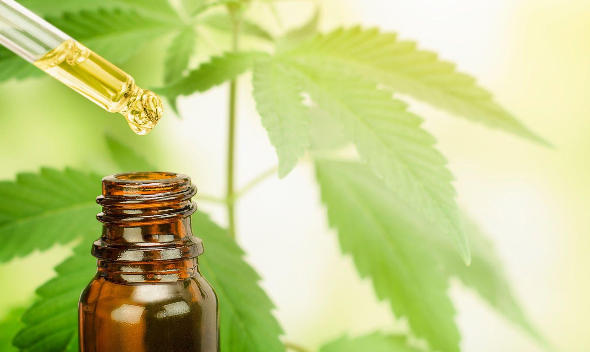 Where In The World Is Cannabinoid Oil Legal to Use?