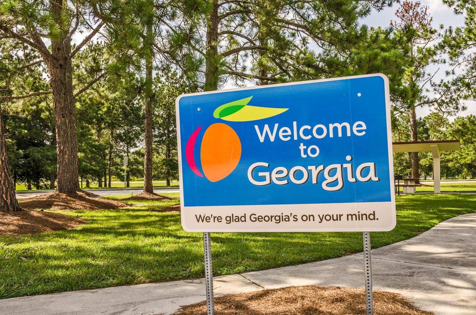 Gun Ownership and Medical Marijuana Cards In Georgia