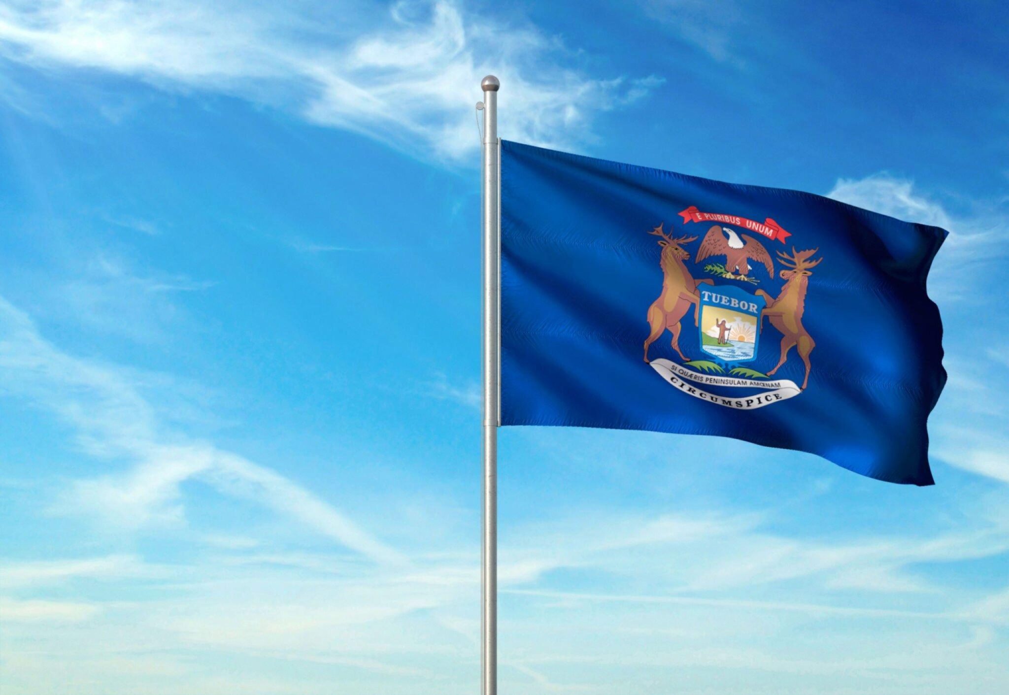 Gun Ownership and Medical Marijuana Cards In Michigan