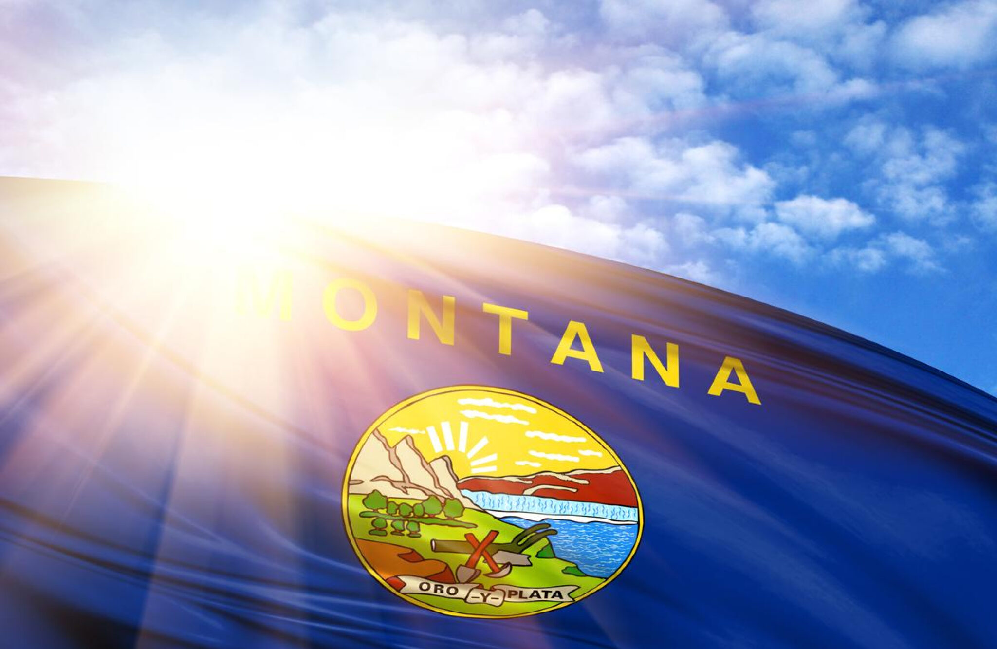 Gun Ownership and Medical Marijuana Cards In Montana