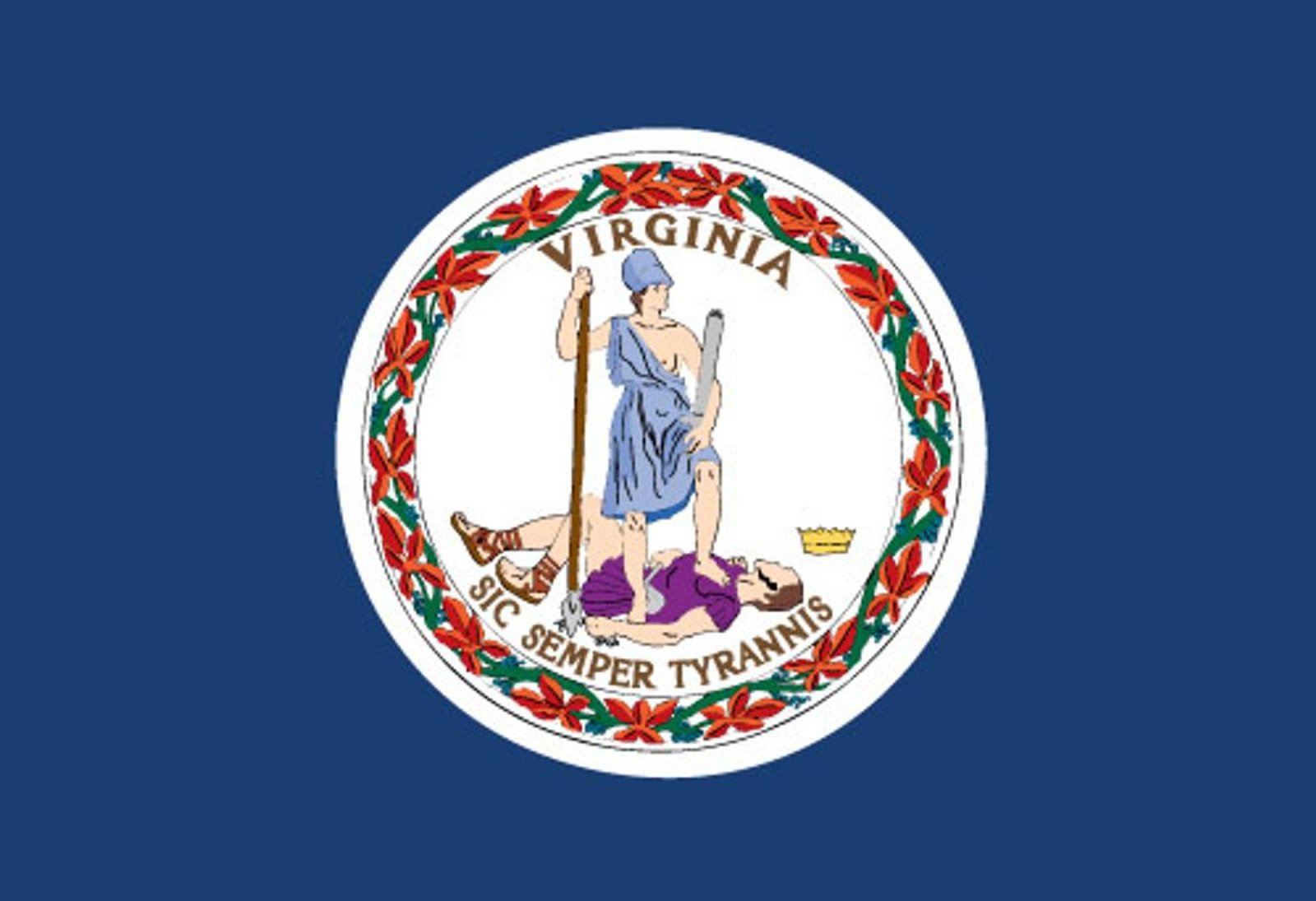 Gun Ownership and Medical Marijuana Cards In Virginia