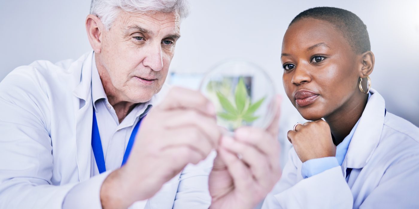 Benefits of Online Marijuana Evaluations in Connecticut