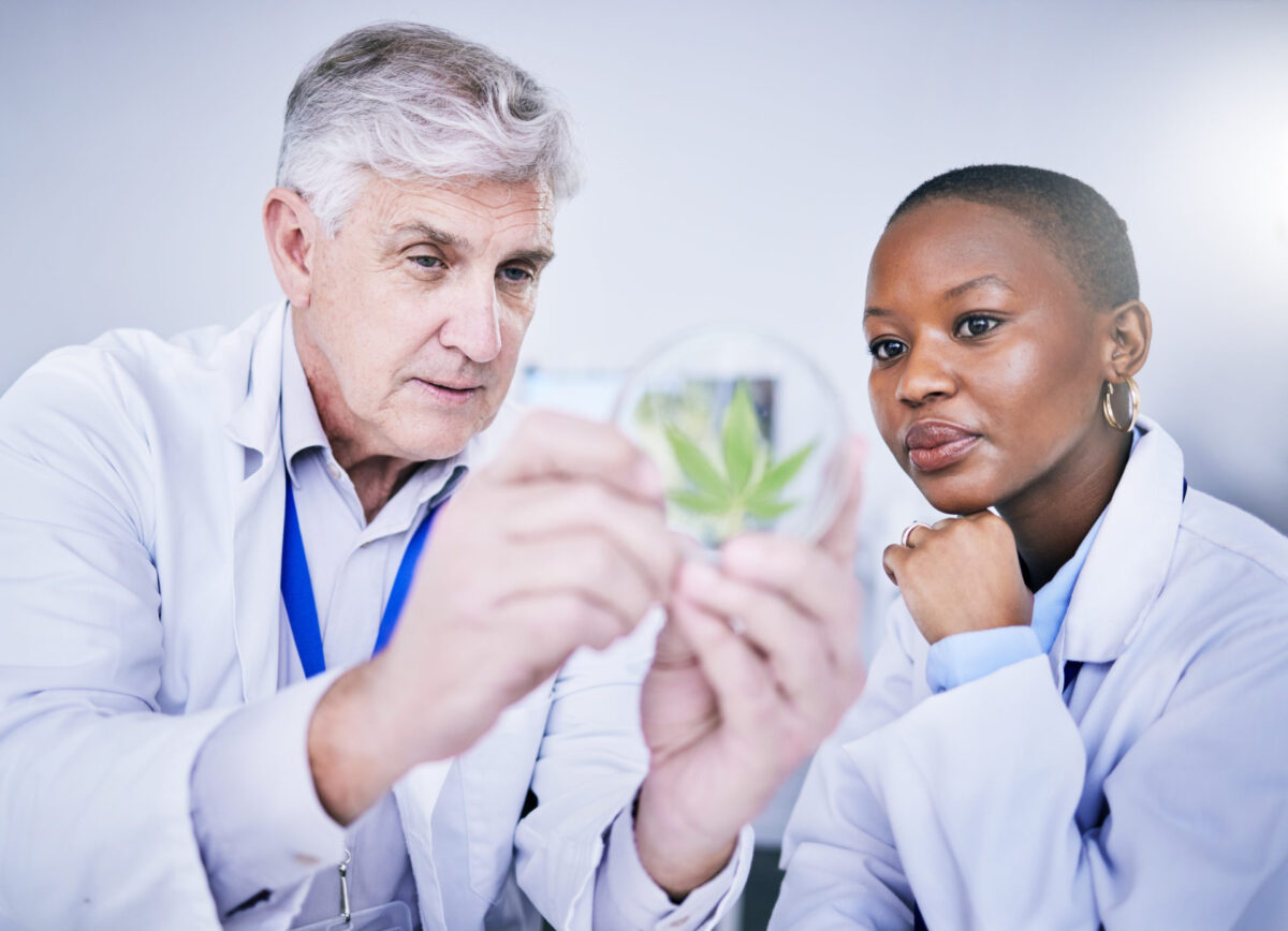Benefits of Online Marijuana Evaluations in Connecticut
