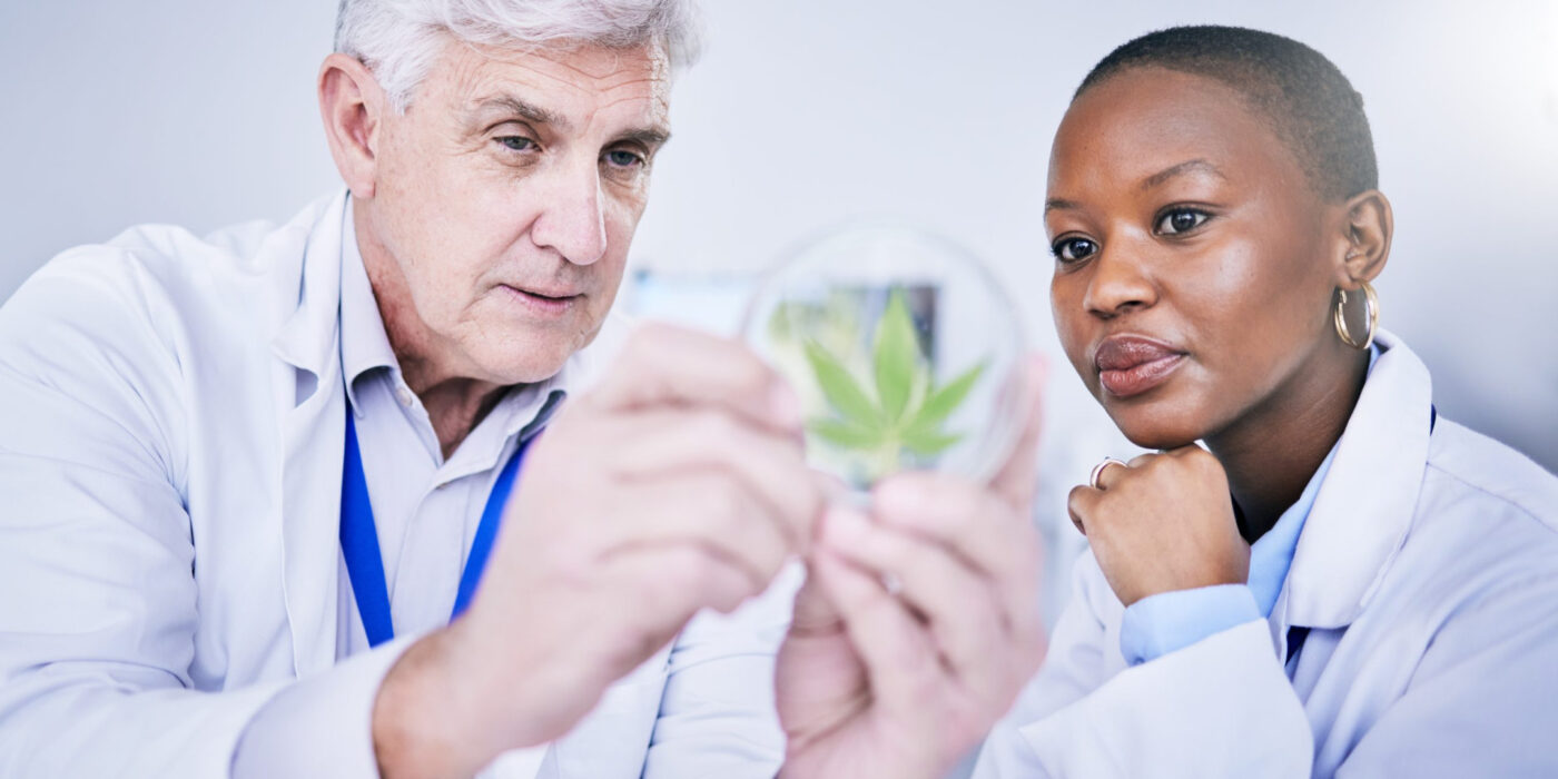 Benefits of Online Marijuana Evaluations in Connecticut
