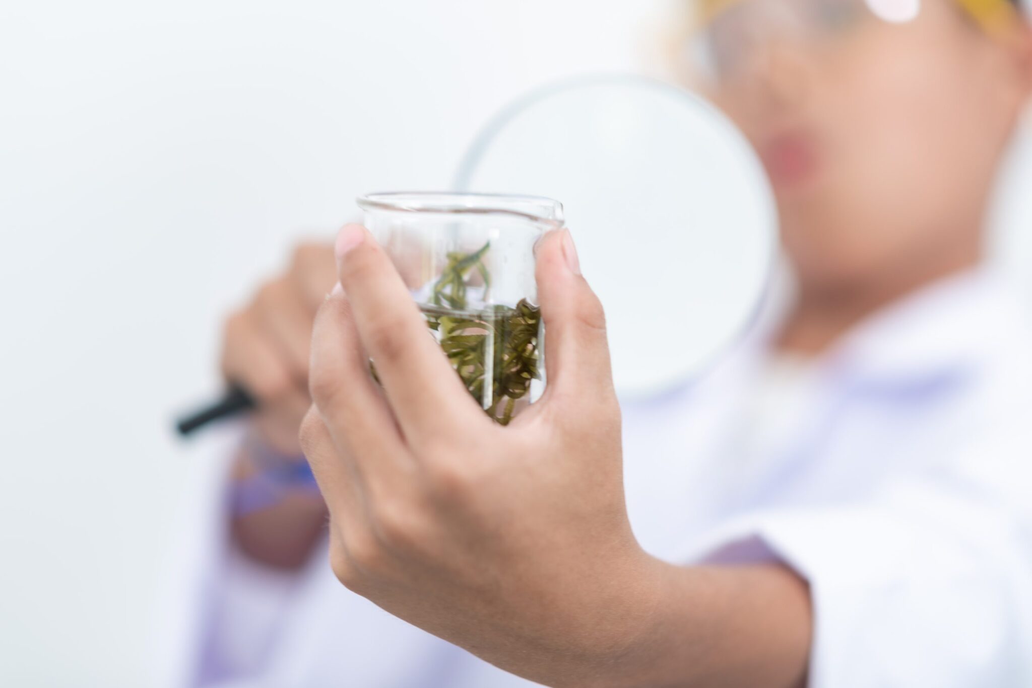 Benefits of Online Marijuana Evaluations in New York Now