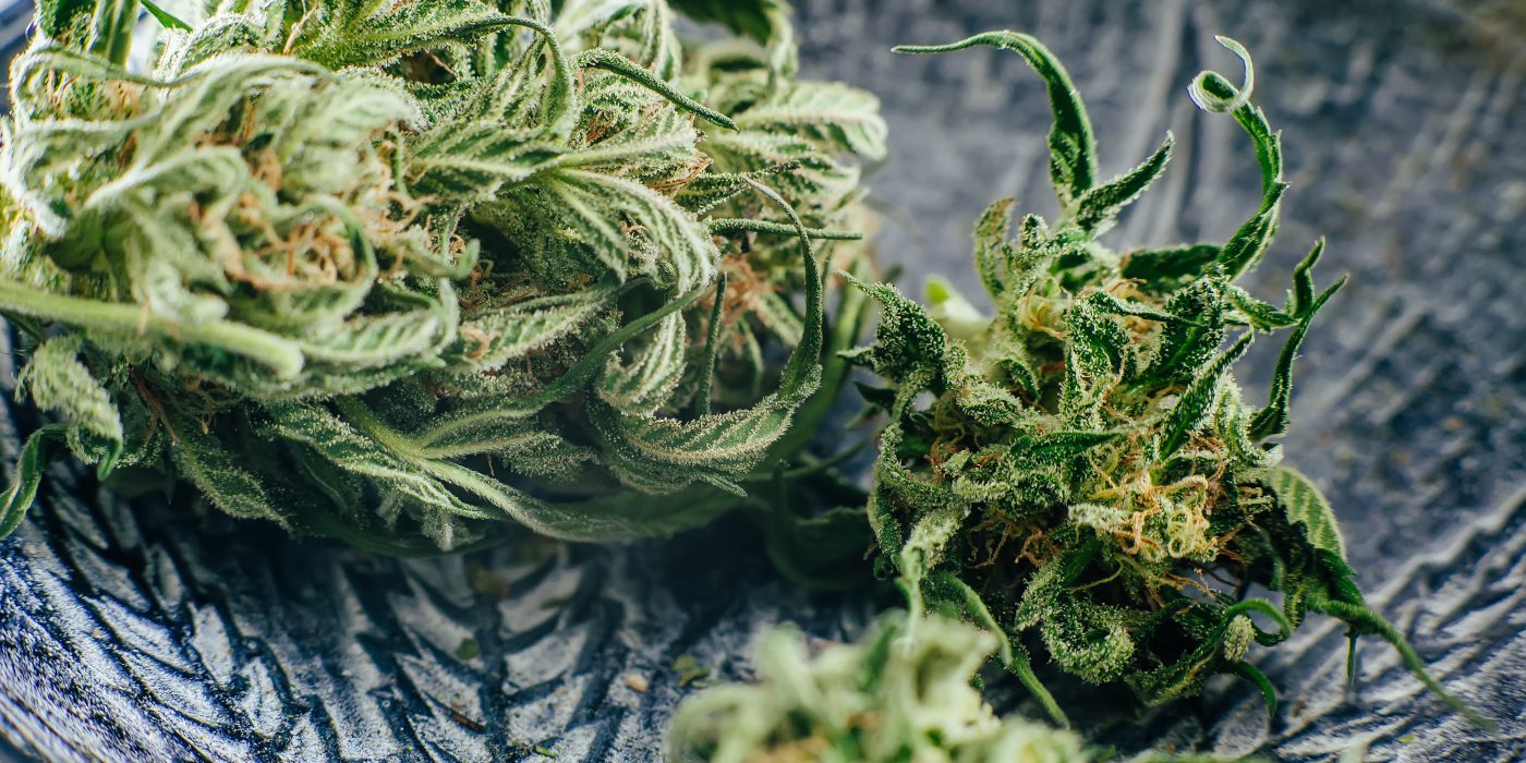 Best Hybrid Cannabis Strains to Try in 2025 Reviews