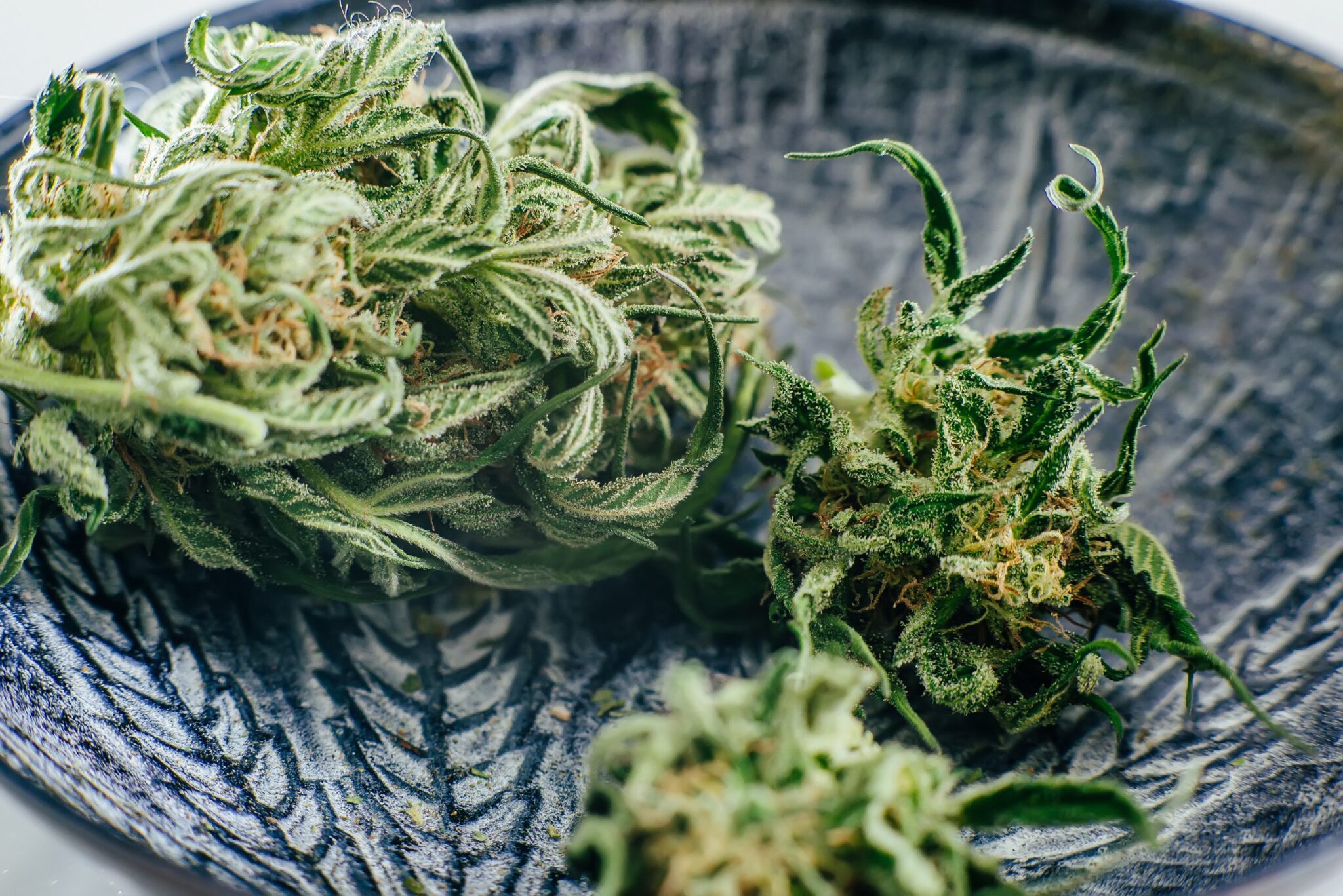 Best Hybrid Cannabis Strains to Try in 2025 Reviews