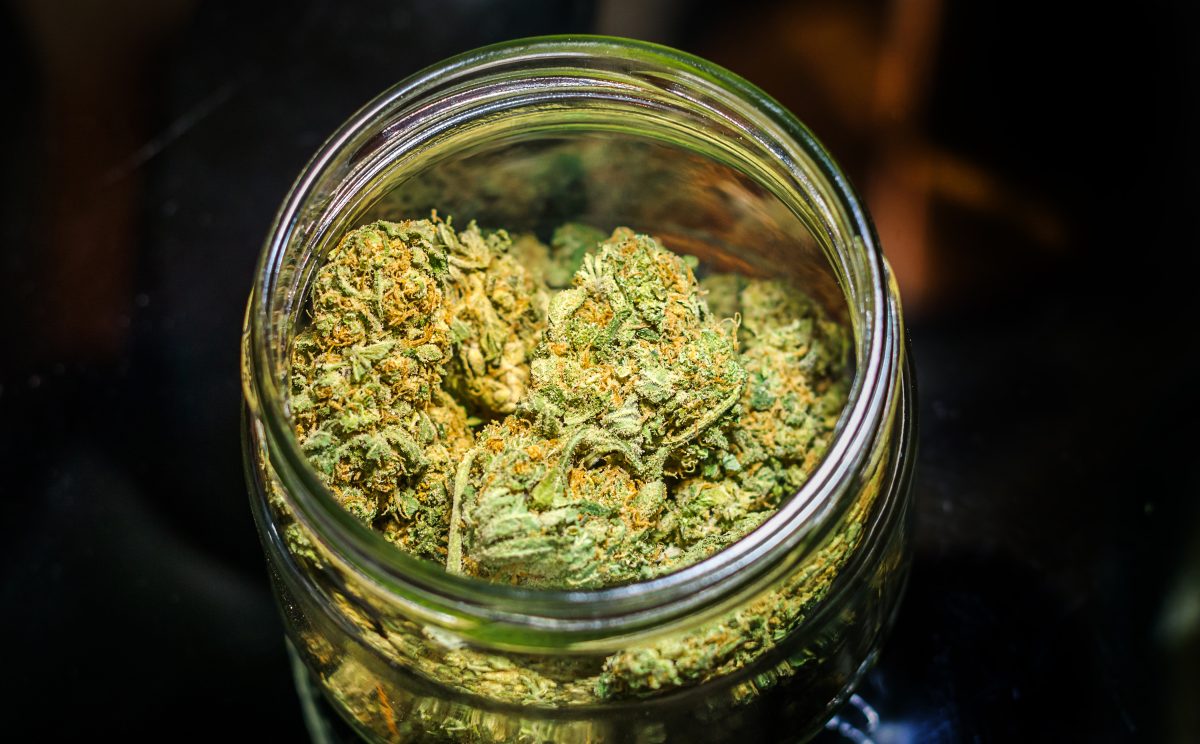 Best Cannabis Strains in Michigan 2025 Top Picks