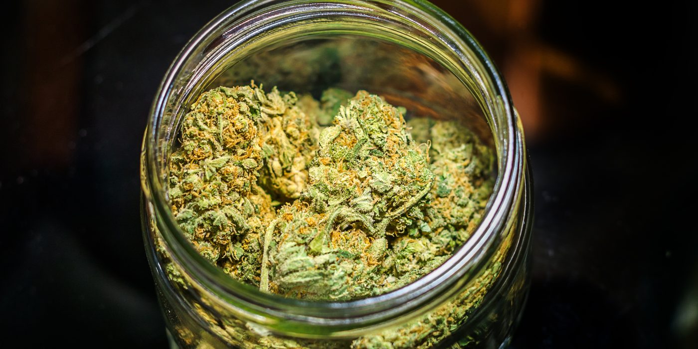 Best Cannabis Strains in Michigan 2025 Top Picks