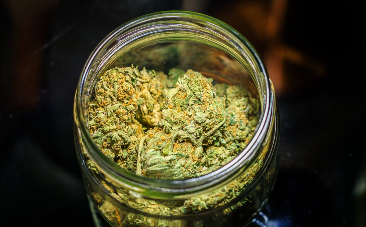 Best Cannabis Strains in Michigan 2025 Top Picks
