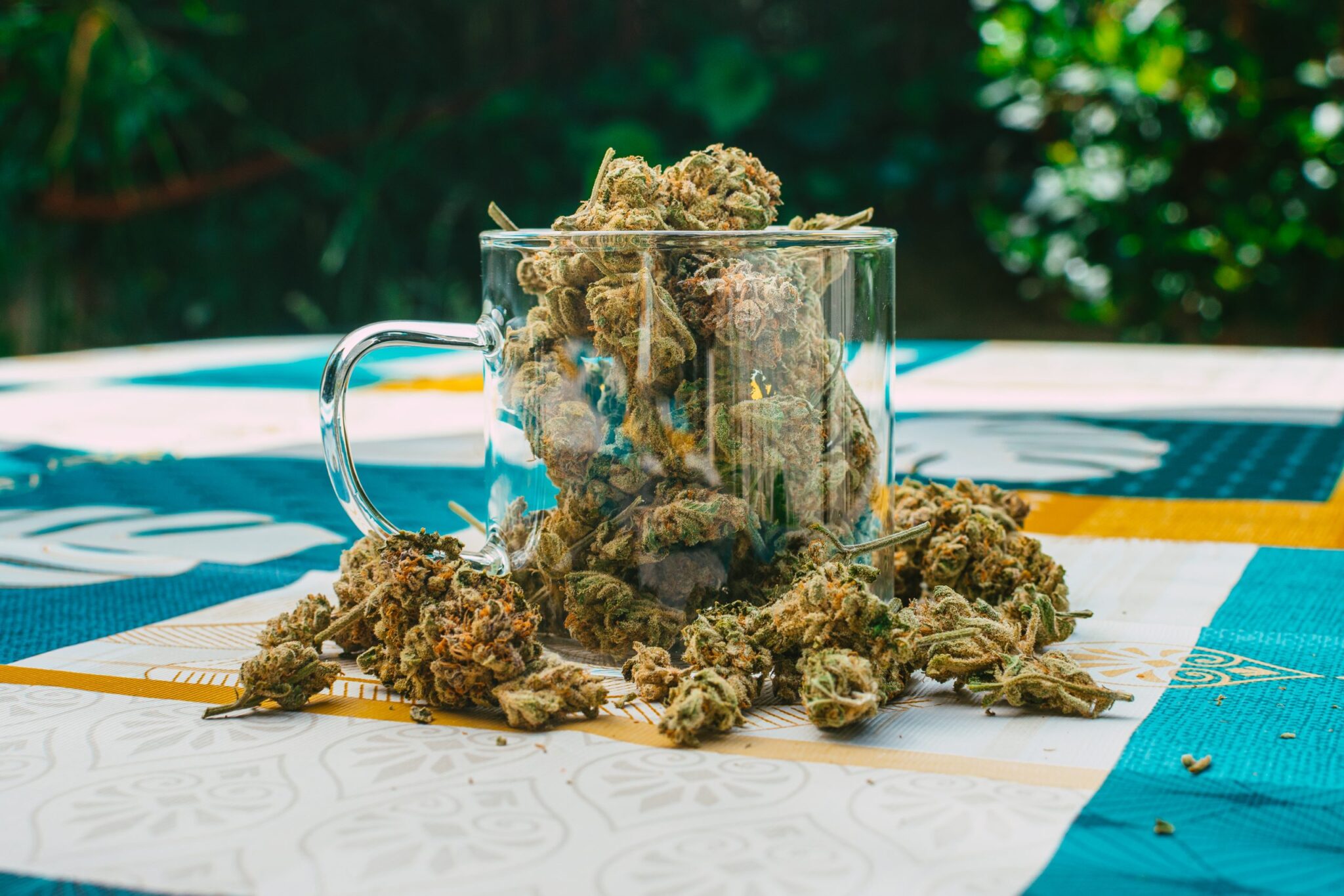 Best-Exotic-Weed-Strains-for-Unique-Highs-in-2025