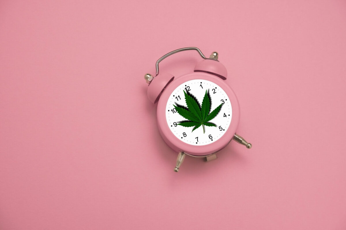 Best Indica Cannabis Strains for Sleep 2025 Guide