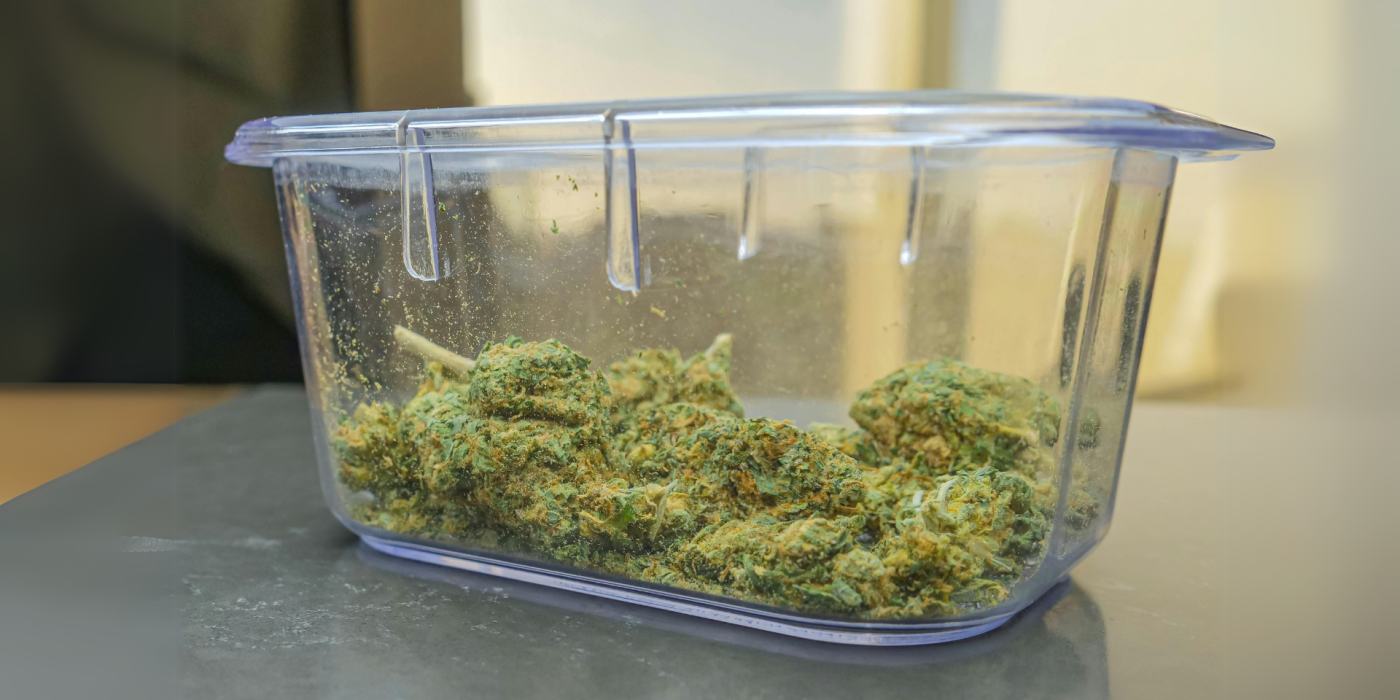 Best Yielding Cannabis Strains for High Harvest Yields