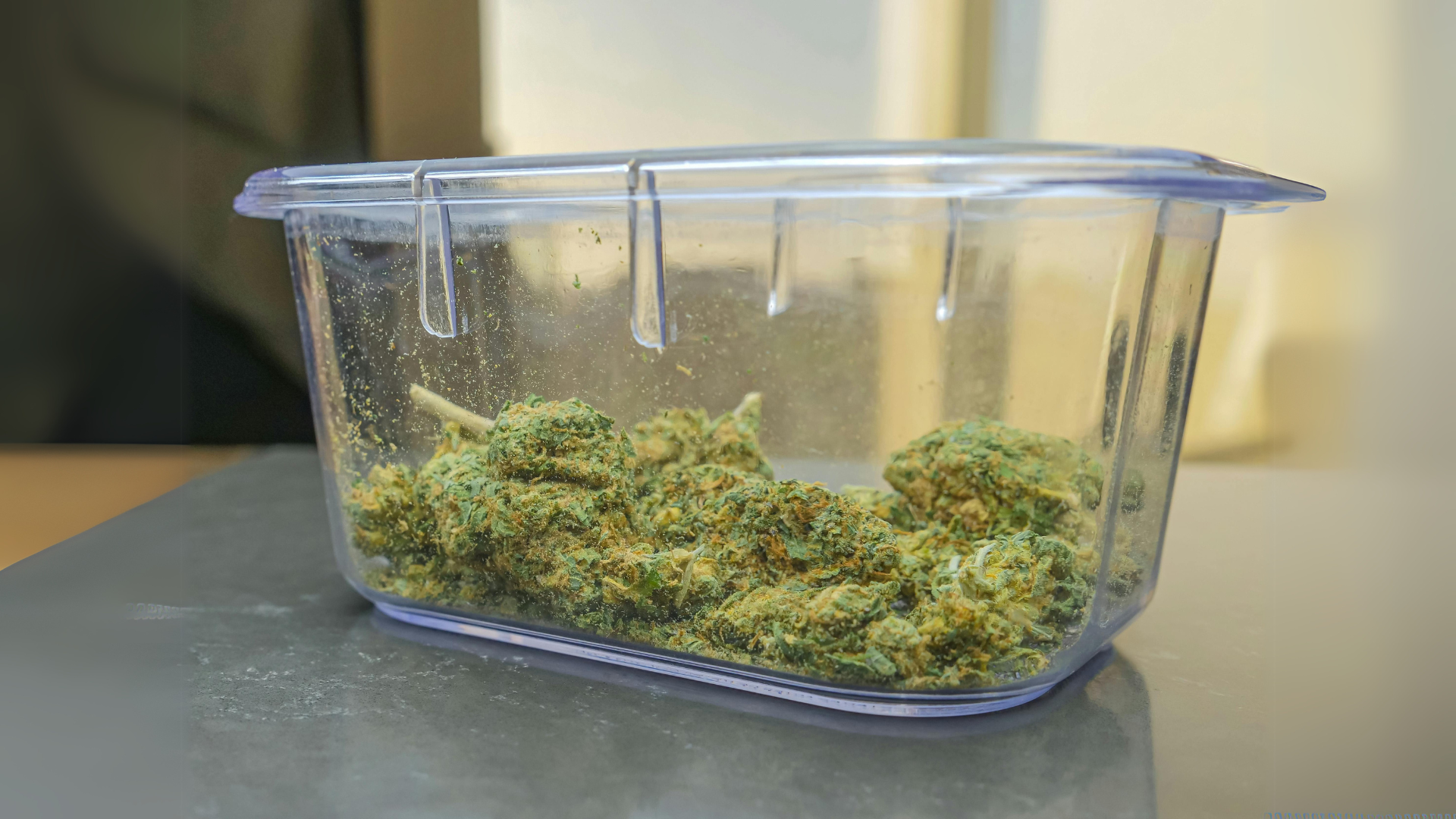 Best Yielding Cannabis Strains for High Harvest Yields