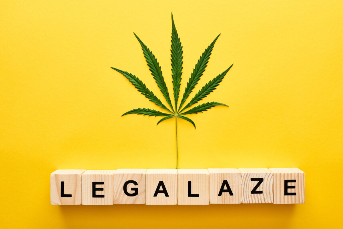 Is Weed Legal in Tampa Everything you need to know
