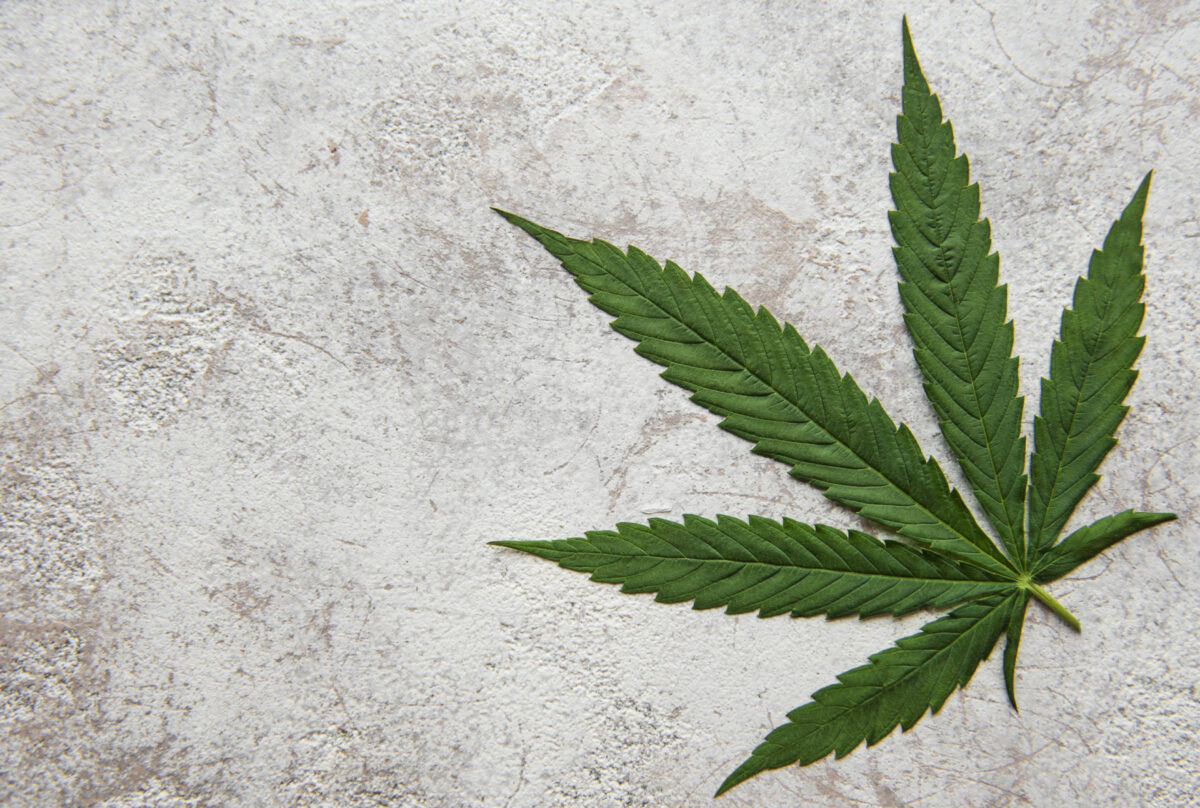 Medical marijuana in Oakland How to get a card and more