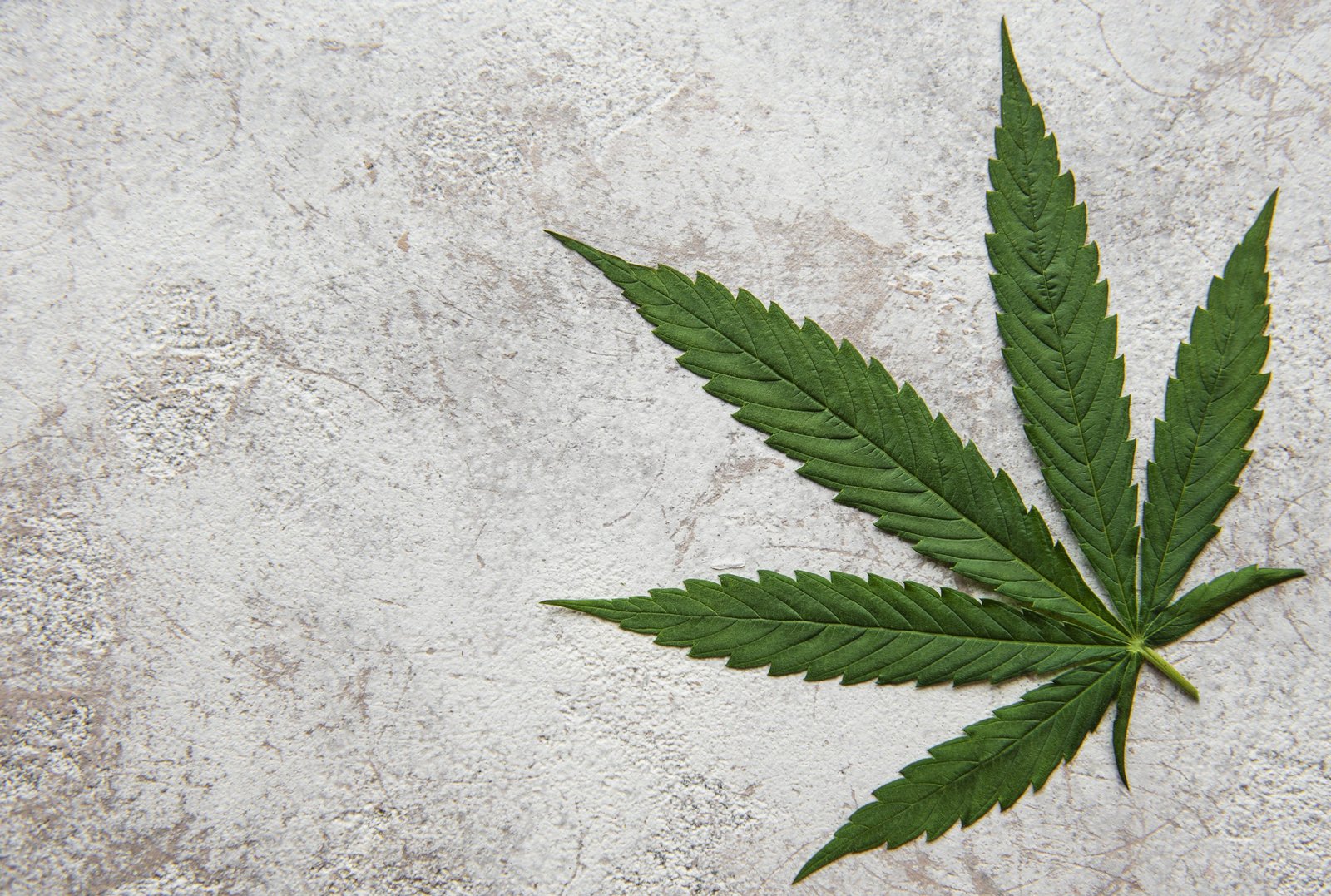 Medical marijuana in Oakland How to get a card and more