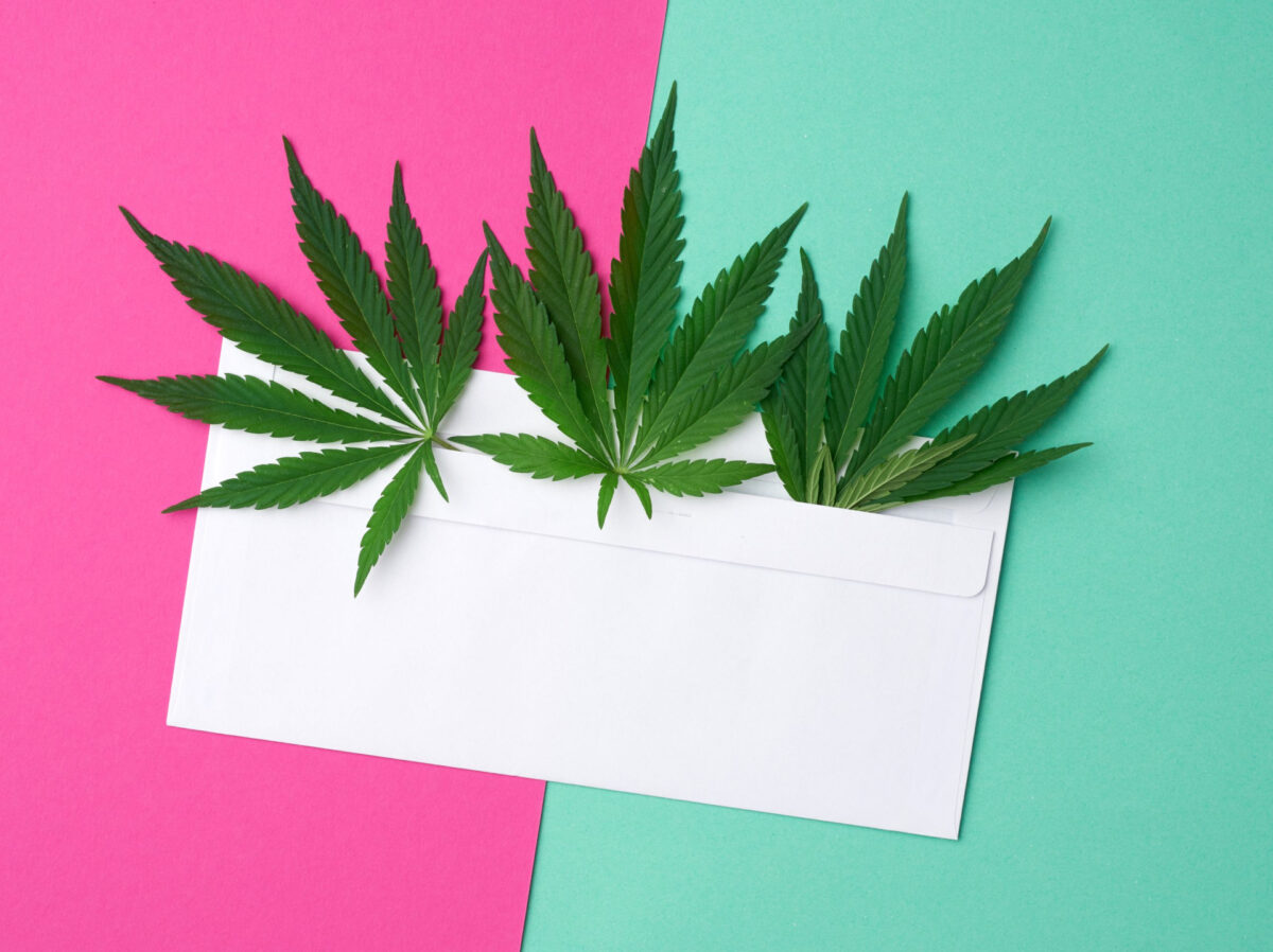 Medical marijuana in San Diego How to get a card and more