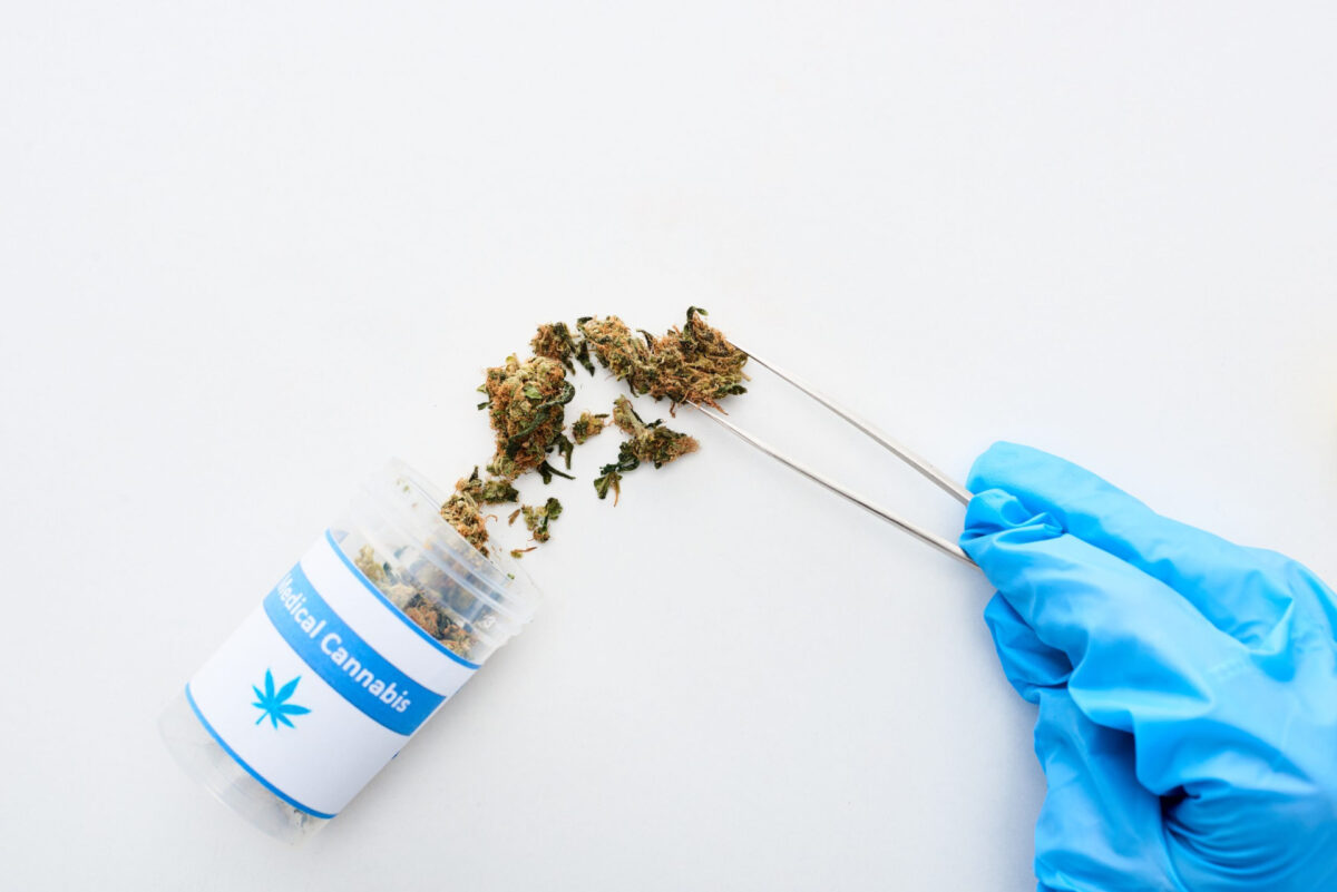 The Complete Guide to Cannabis in Sacramento