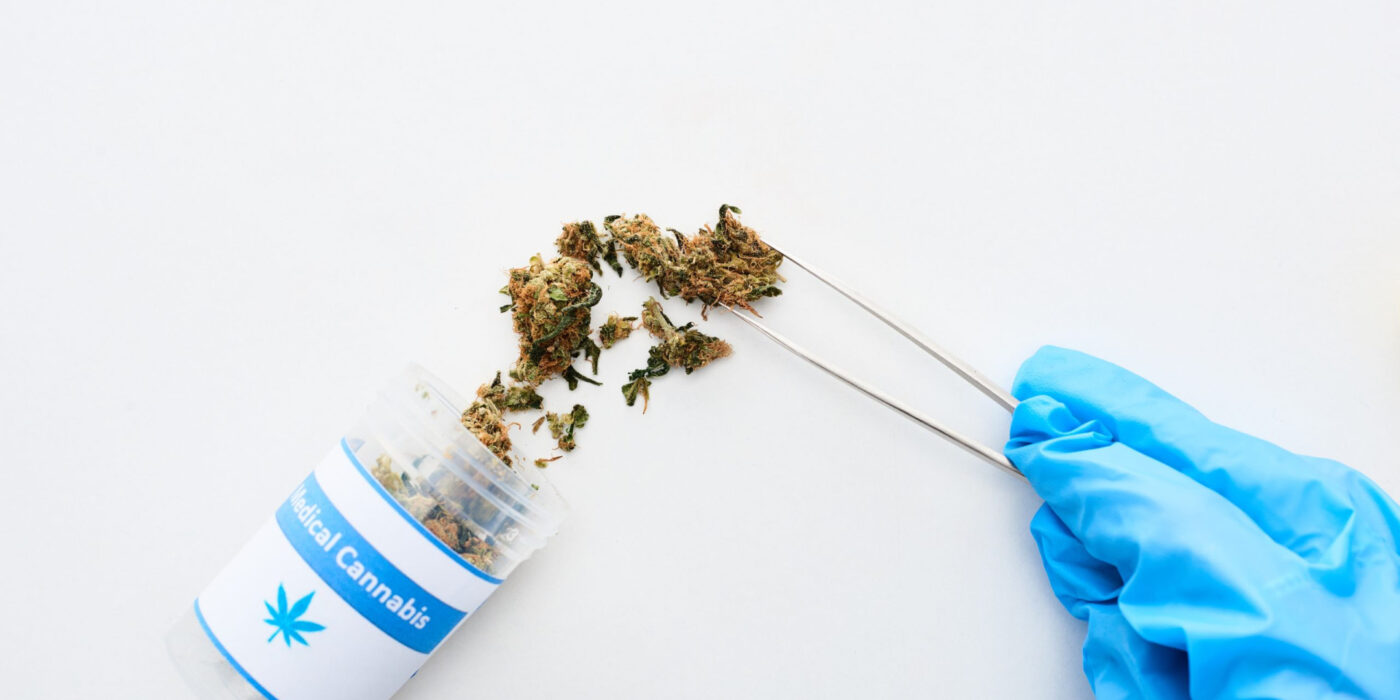 The Complete Guide to Cannabis in Sacramento