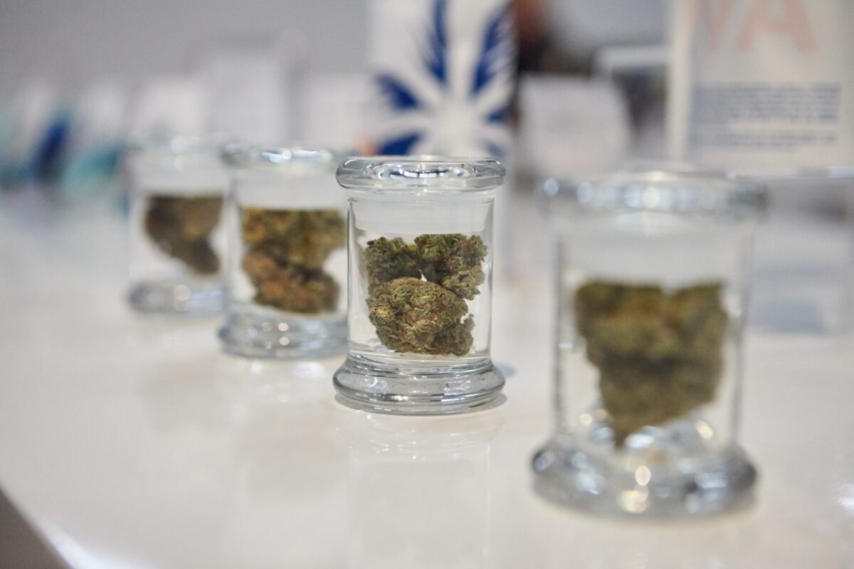 The Complete Guide to Cannabis in Seattle