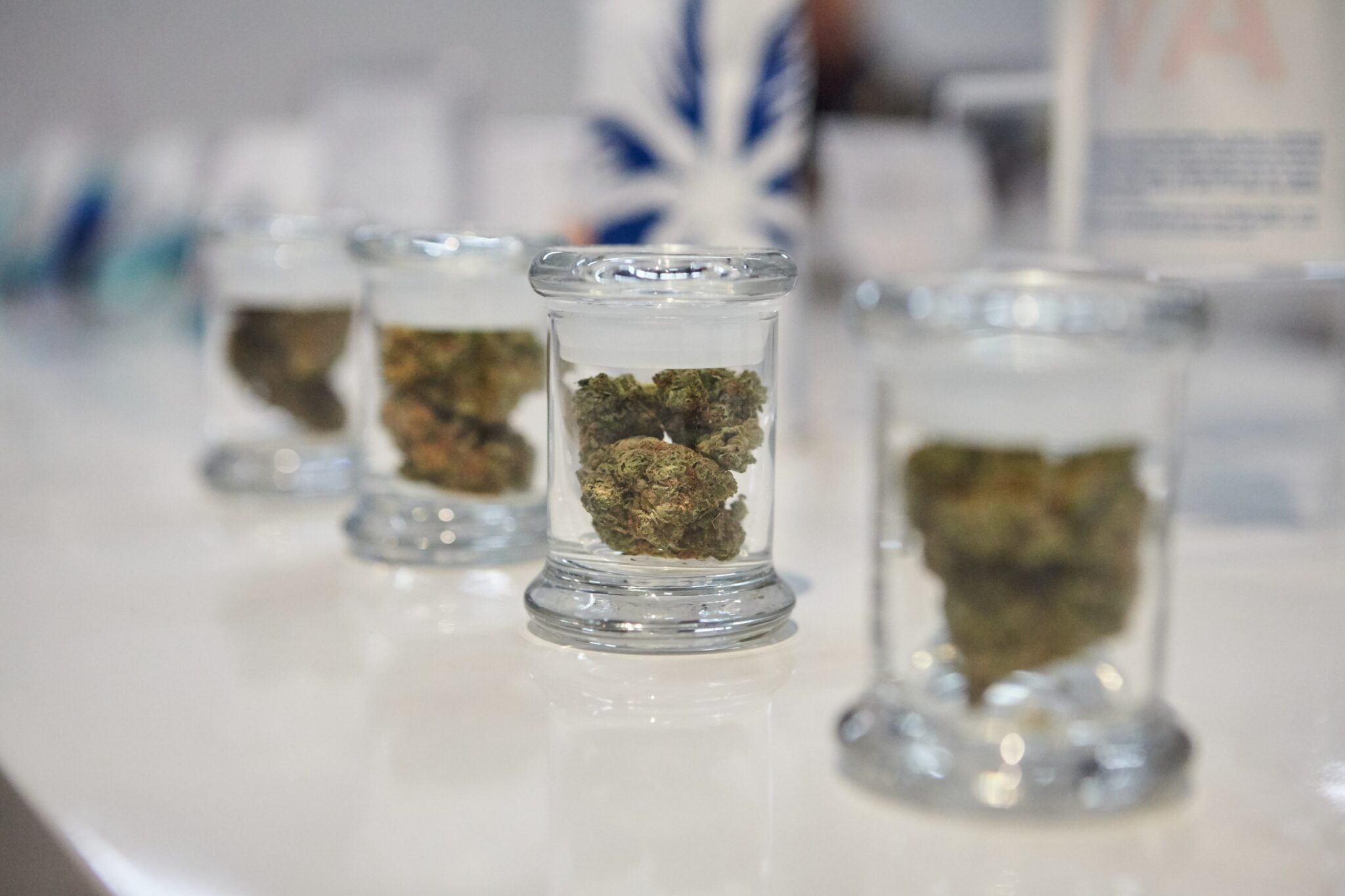 The Complete Guide to Cannabis in Seattle