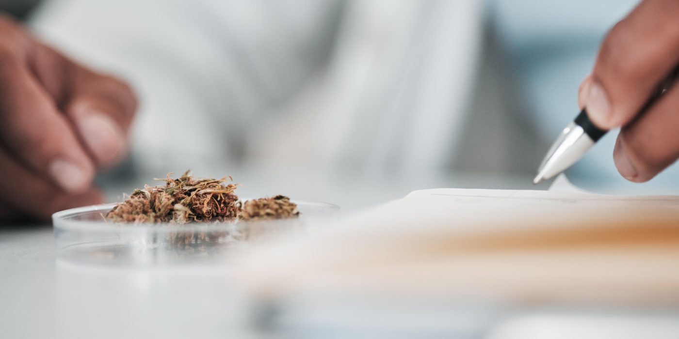 Top 10 Strains for Hash and Concentrates in 2025