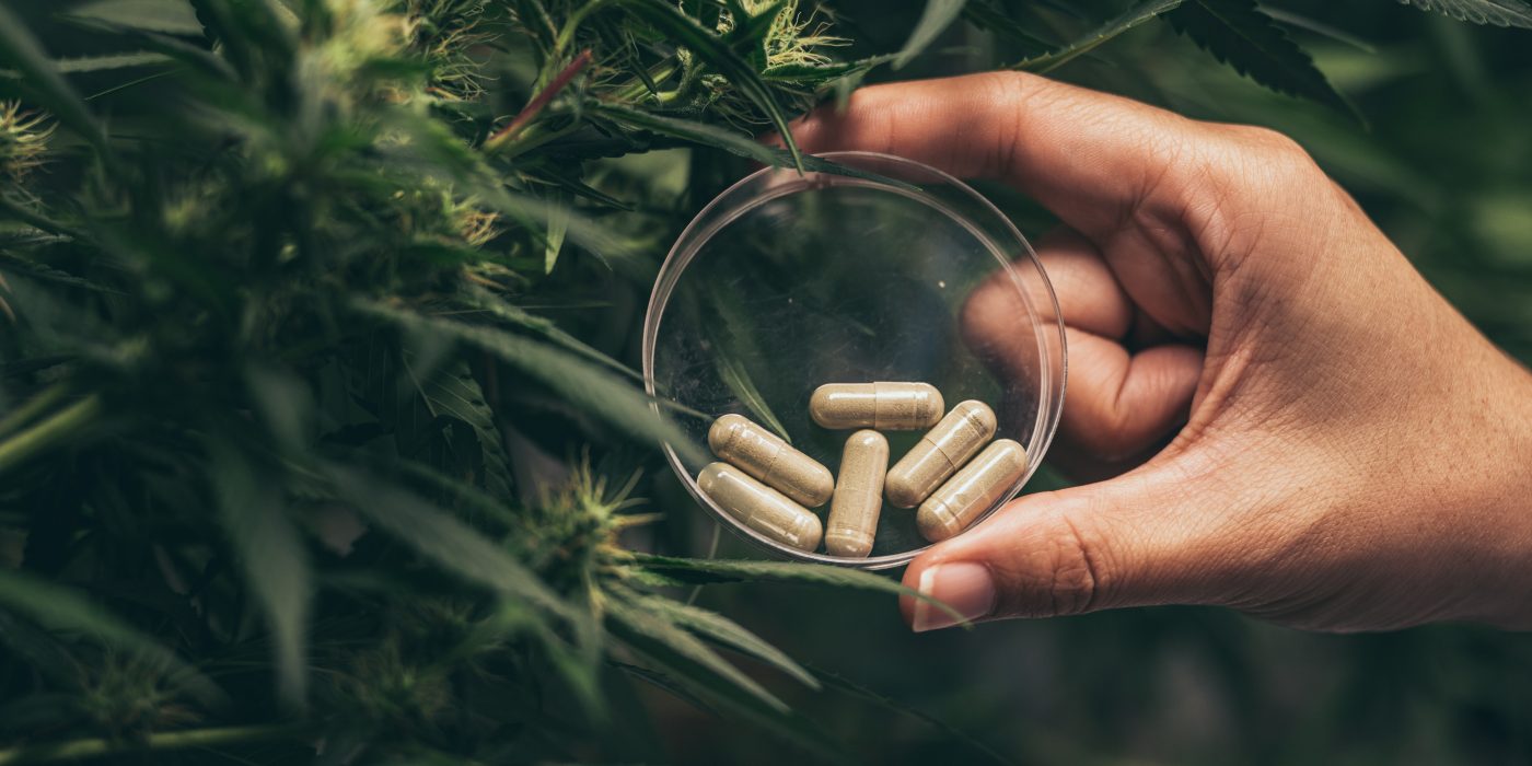 Best Magic Mushroom Strain: Top Picks for 2025 Now