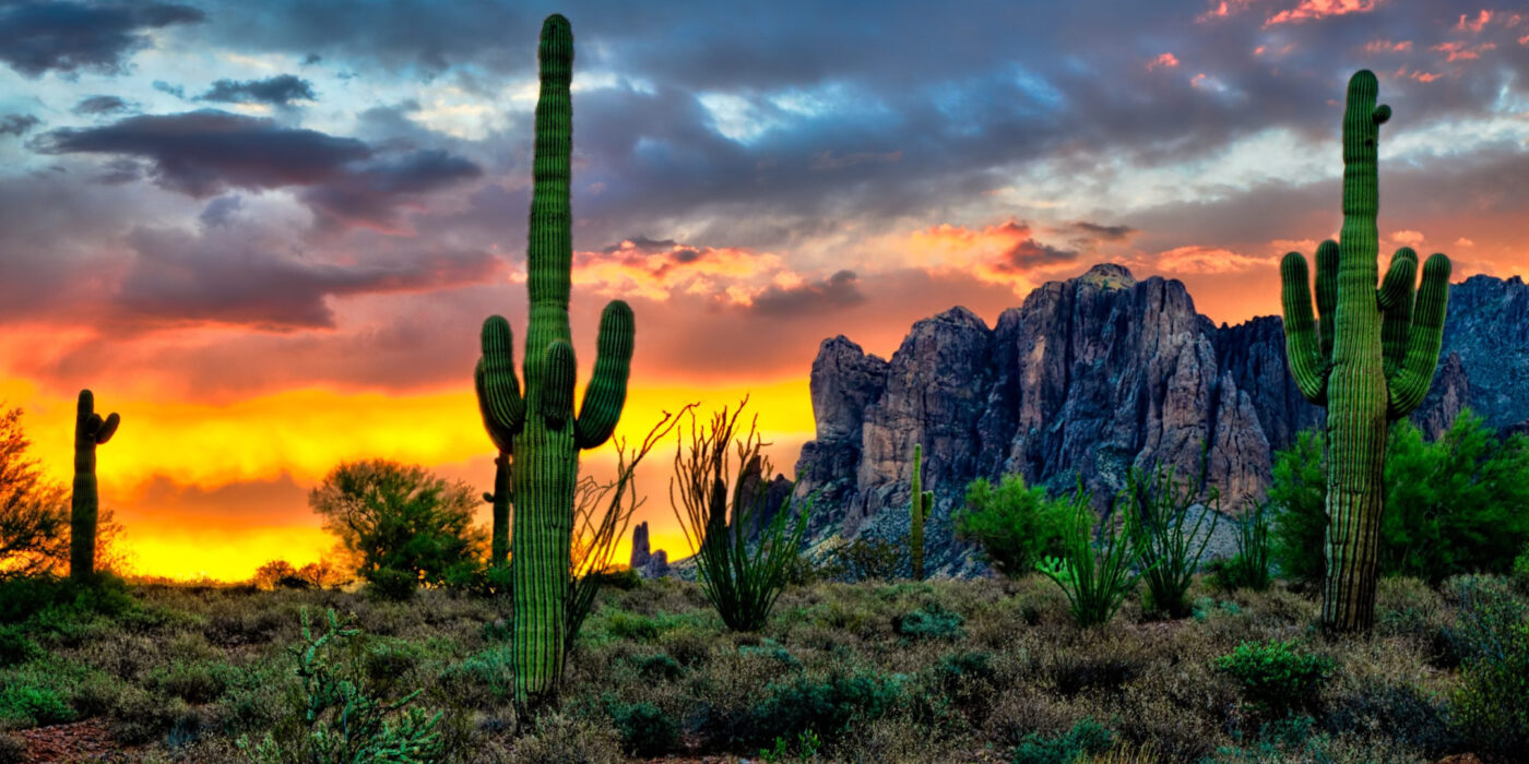 Is Weed Legal in Arizona? Everything you need to know
