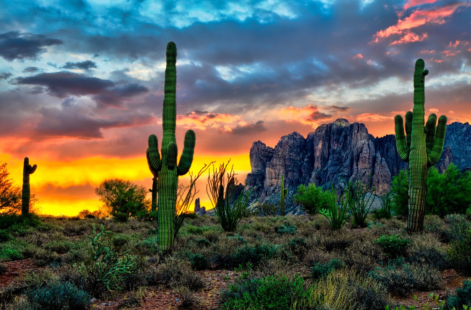 Is Weed Legal in Arizona? Everything you need to know