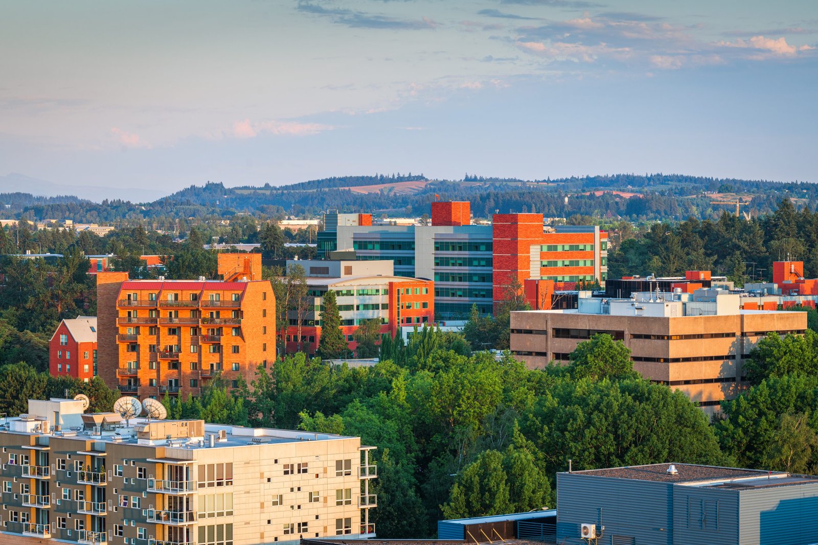Is Weed Legal in Eugene Everything you need to know