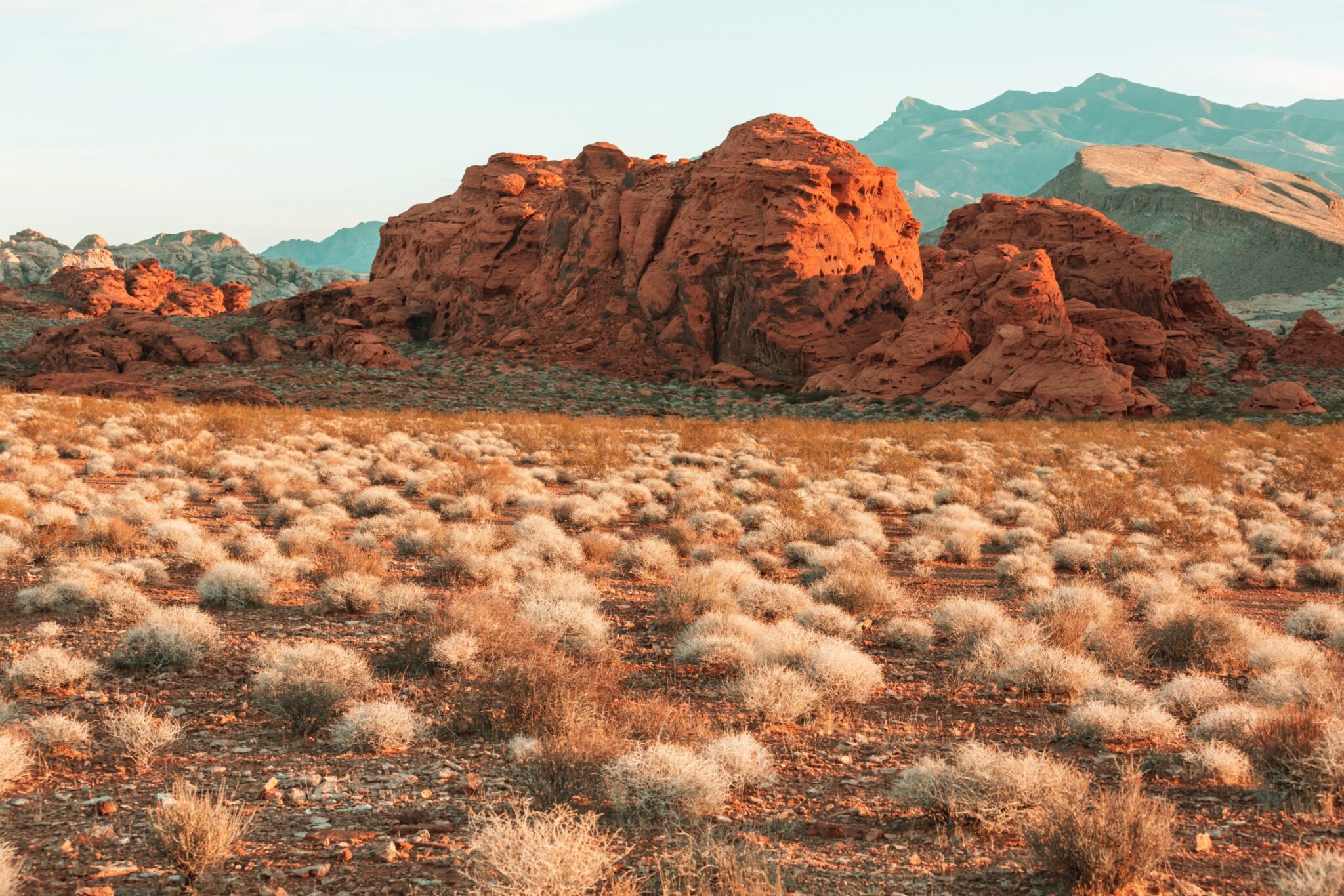 Medical marijuana in Nevada: How to get a card and more