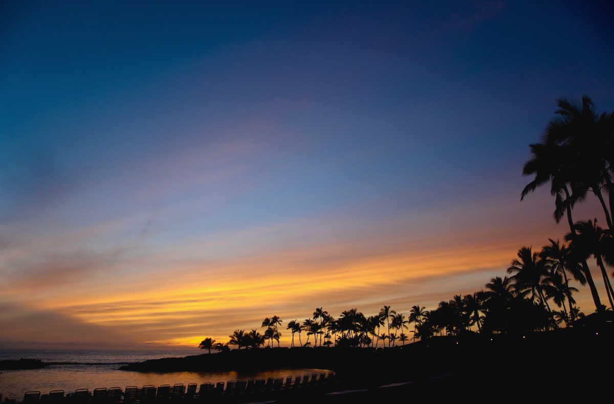 The Complete Guide to Cannabis in Kapolei