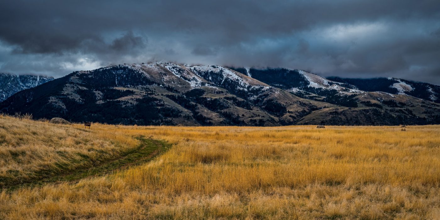 The Complete Guide to Cannabis in Montana