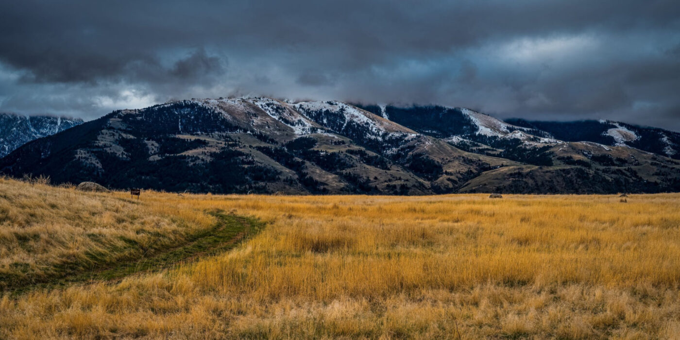 The Complete Guide to Cannabis in Montana