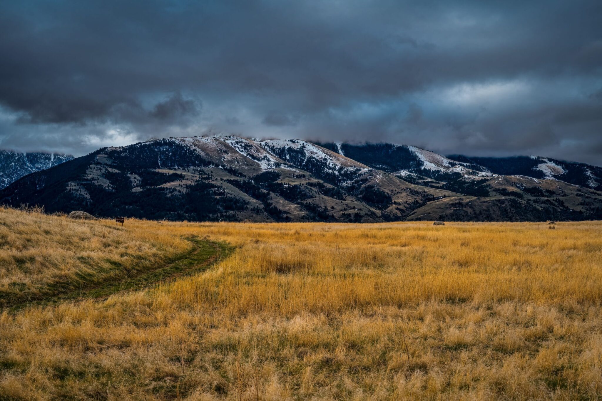 The Complete Guide to Cannabis in Montana