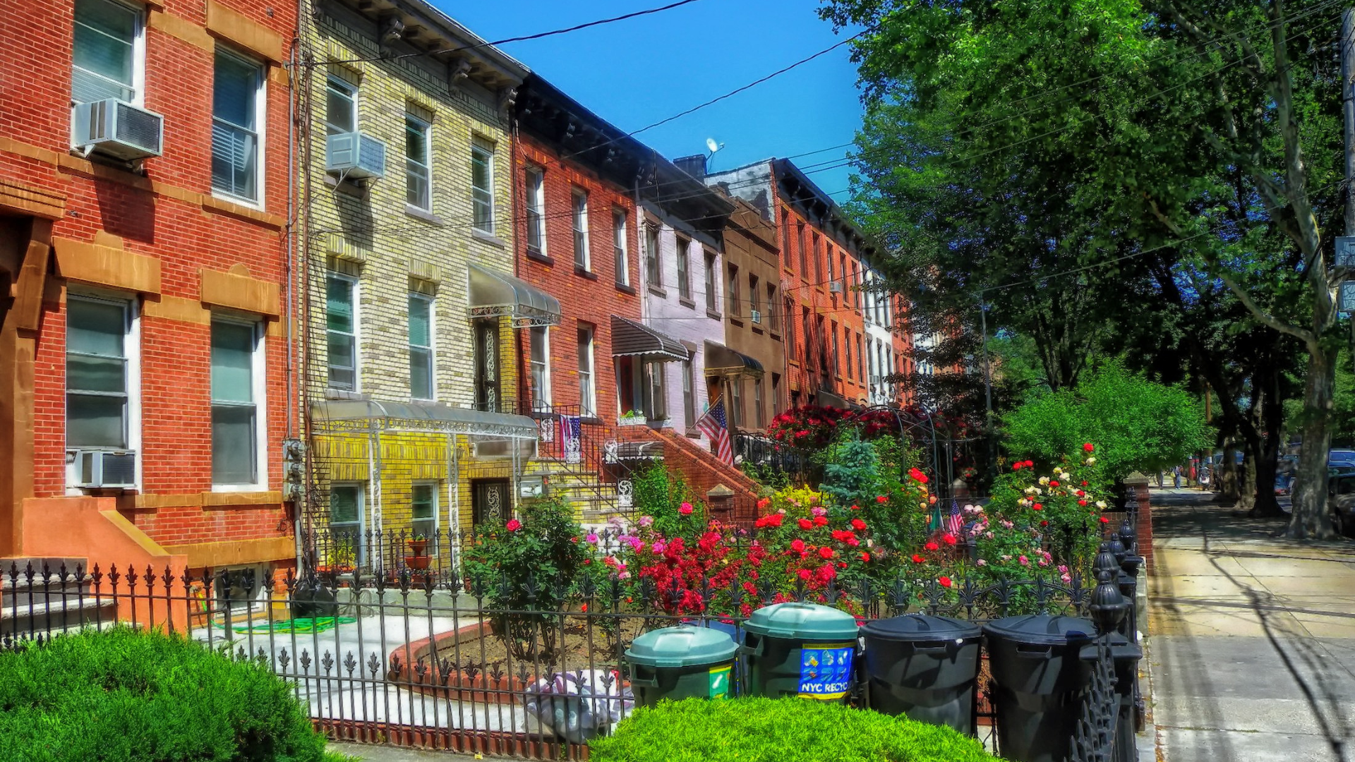 How to Apply for a Medical Marijuana Card in Brooklyn