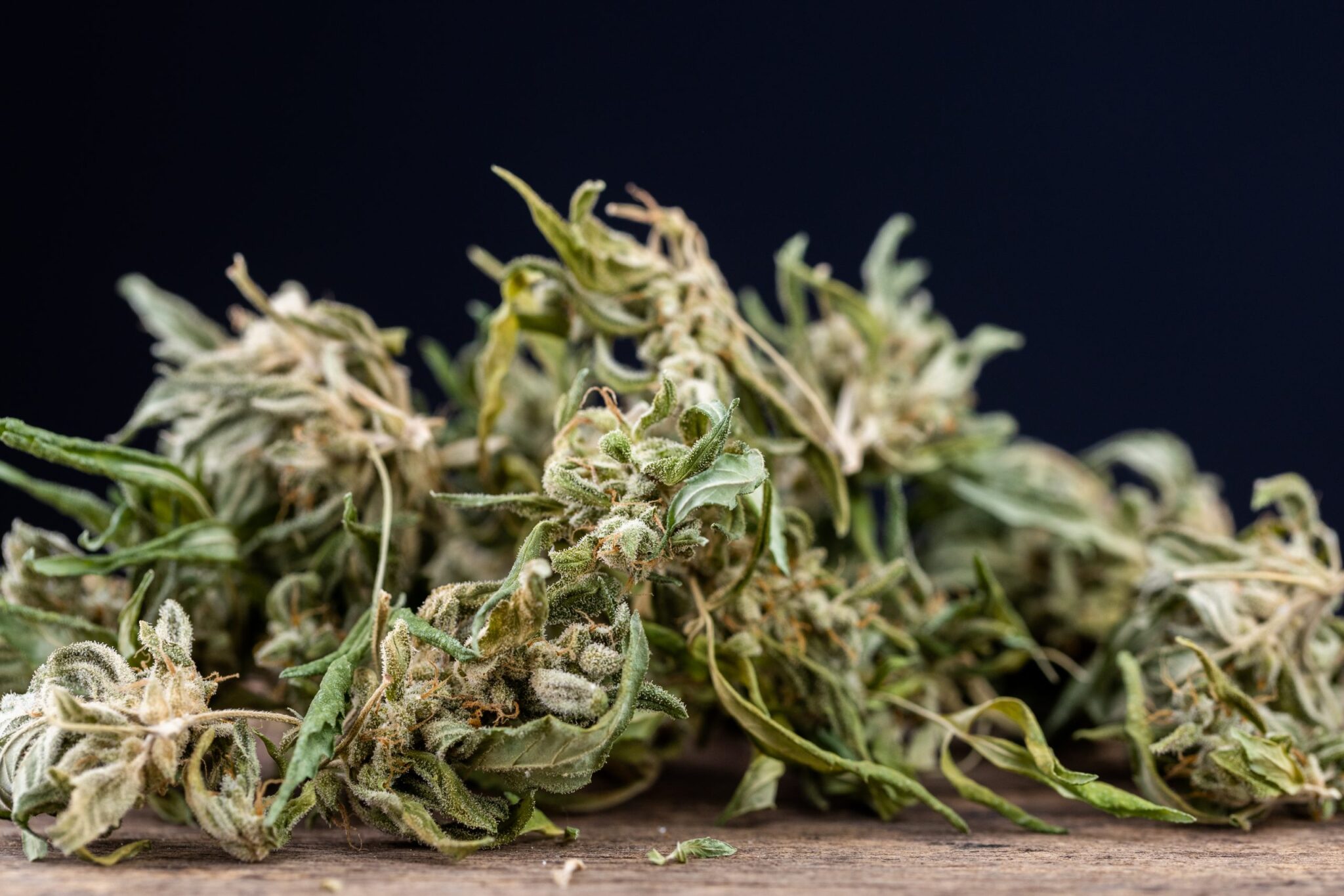 Top 10 Jack Herer Hybrid Strains to Try in 2025