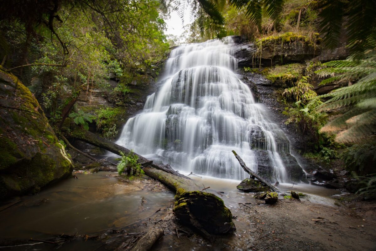 Medical marijuana in Henderson: How to get a card and more
