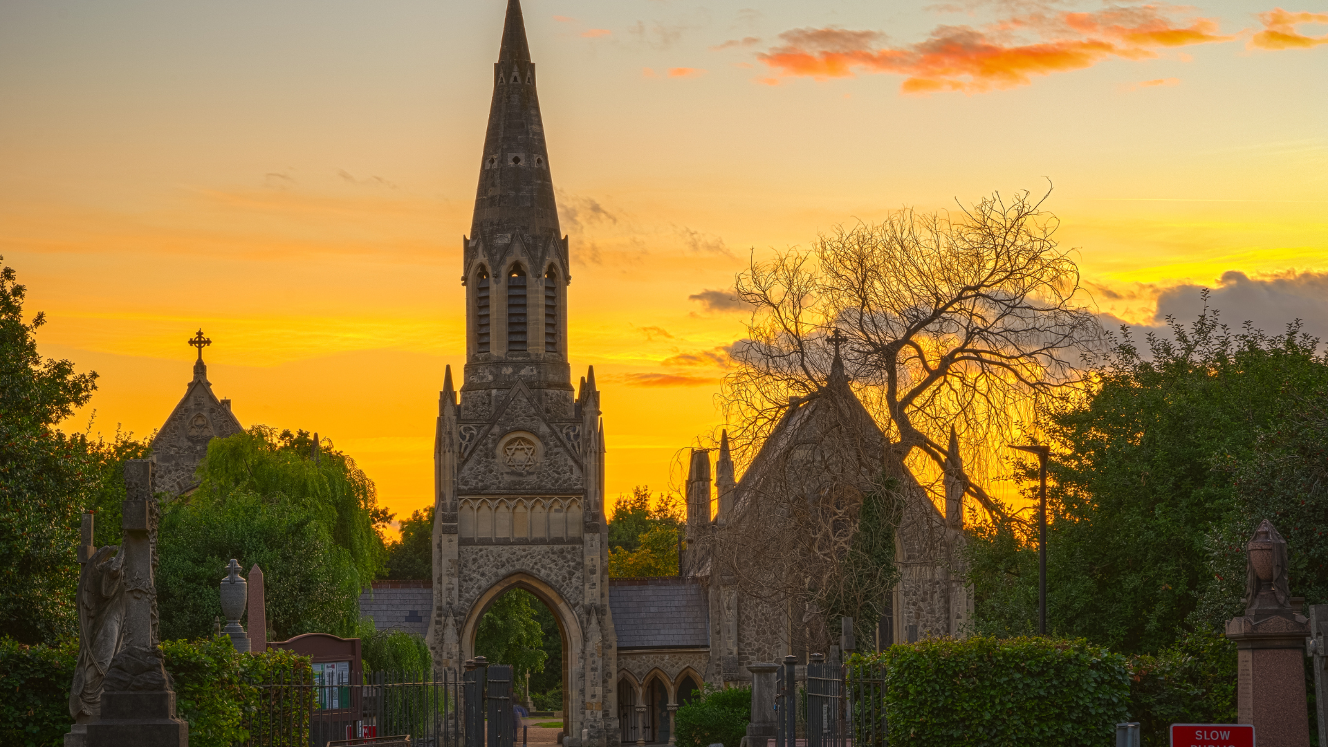 How to Apply for a Medical Marijuana Card in Hempstead