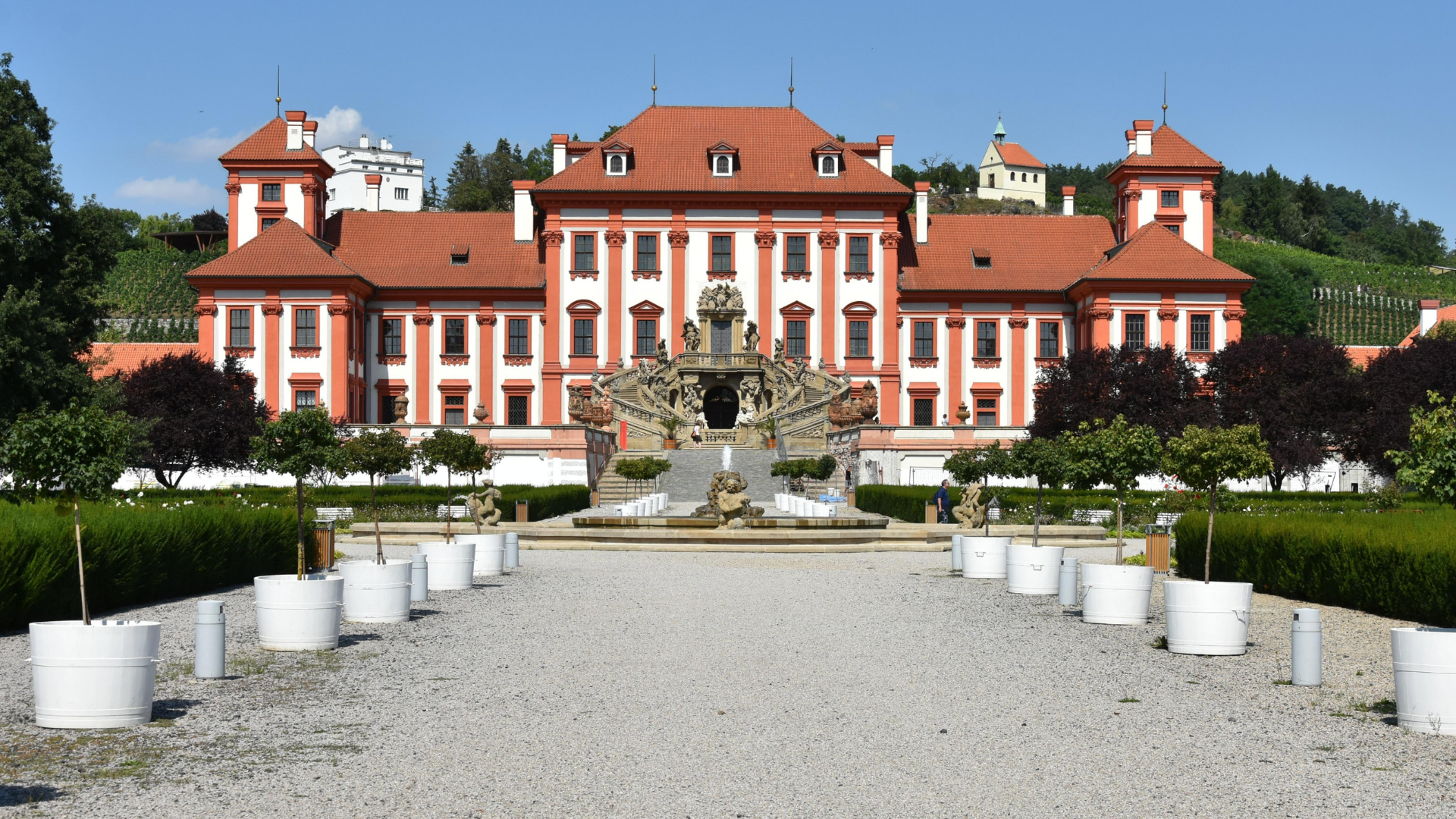 Medical Marijuana Card in Troy