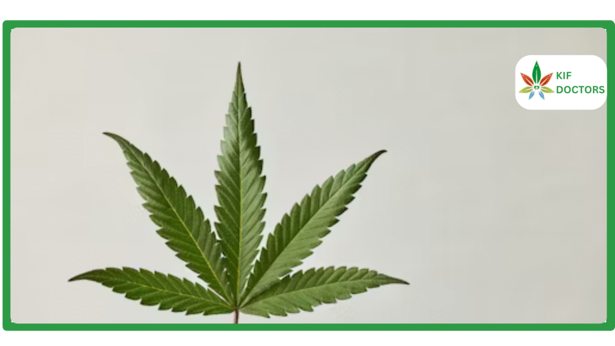 Is Weed Legal in Illinois? Guide to Cannabis Laws in Illinois