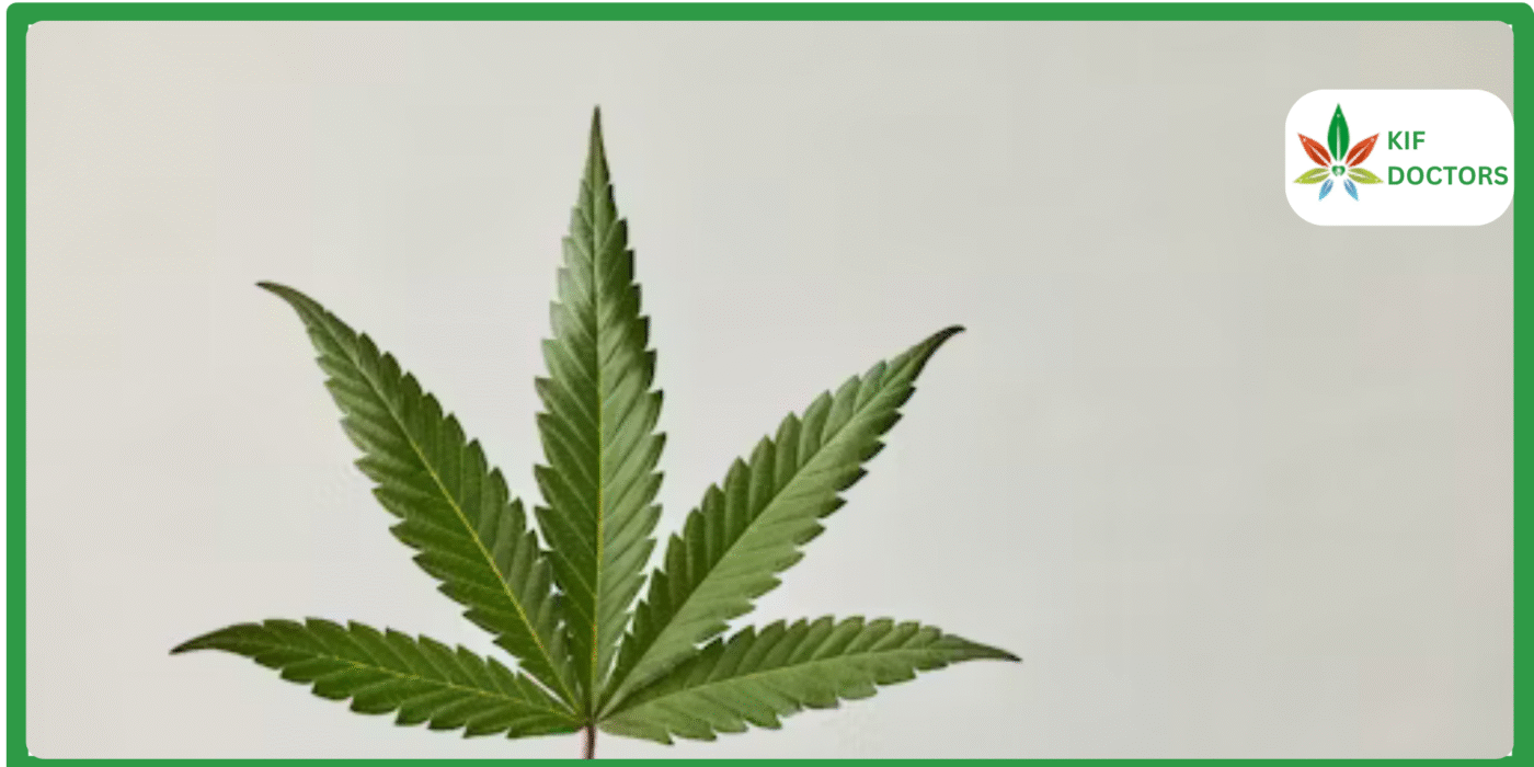 Is Weed Legal in Illinois? Guide to Cannabis Laws in Illinois