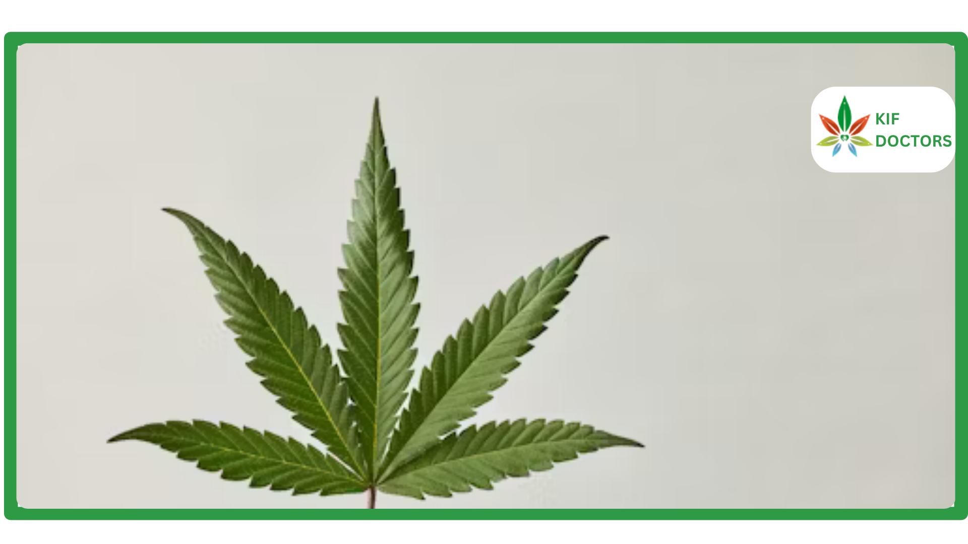 Is Weed Legal in Illinois? Guide to Cannabis Laws in Illinois