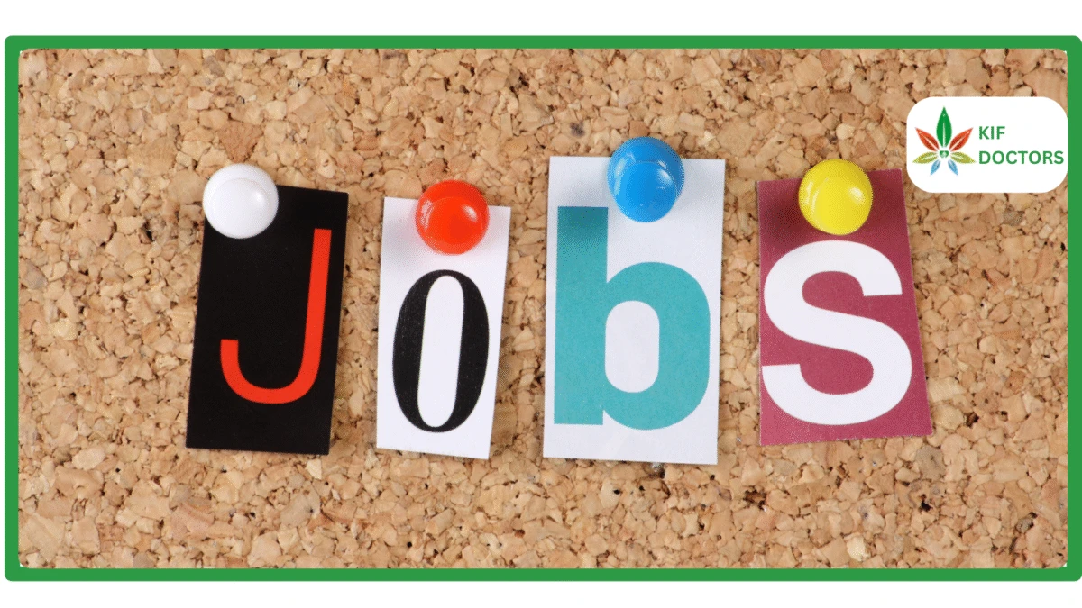 List of Jobs You Can Get with a Medical Marijuana Card in Connecticut