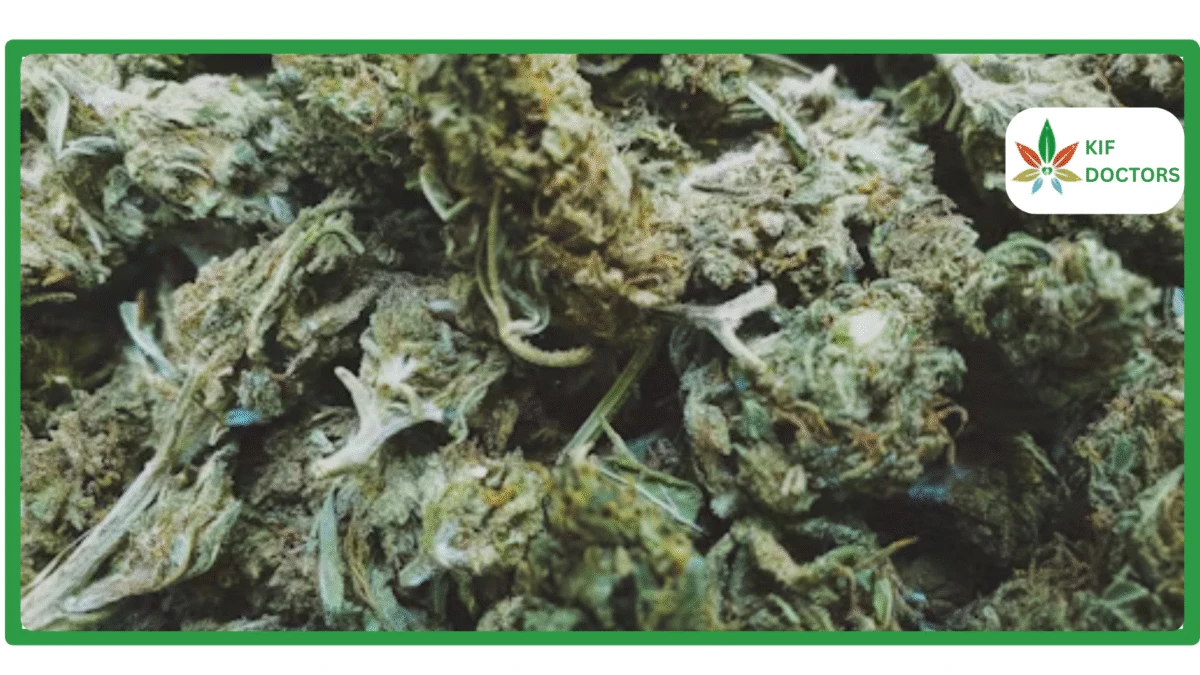 Is Weed Legal in New York Guide to Cannabis Laws in New York